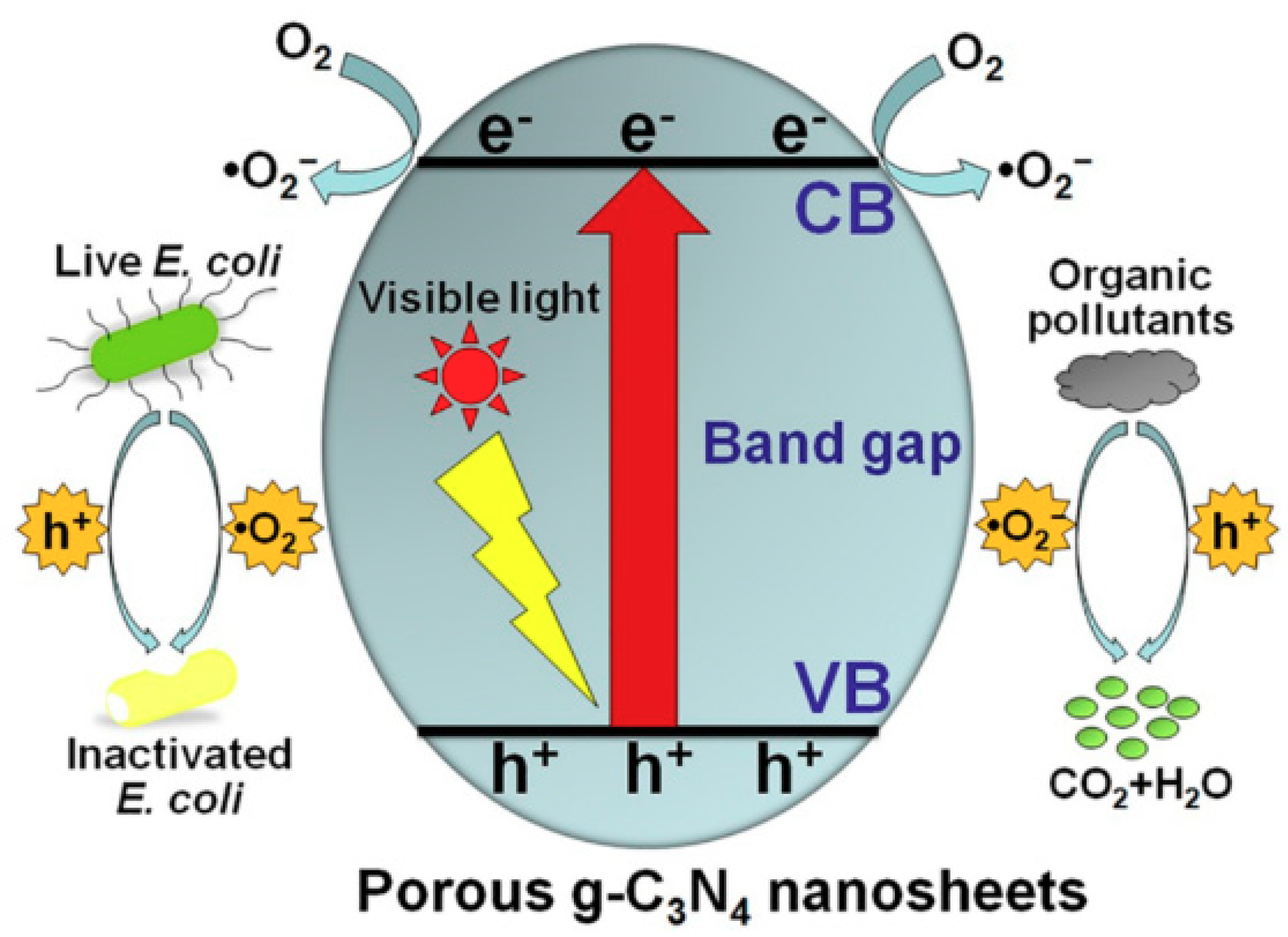 Carbon 04 00054 sch016