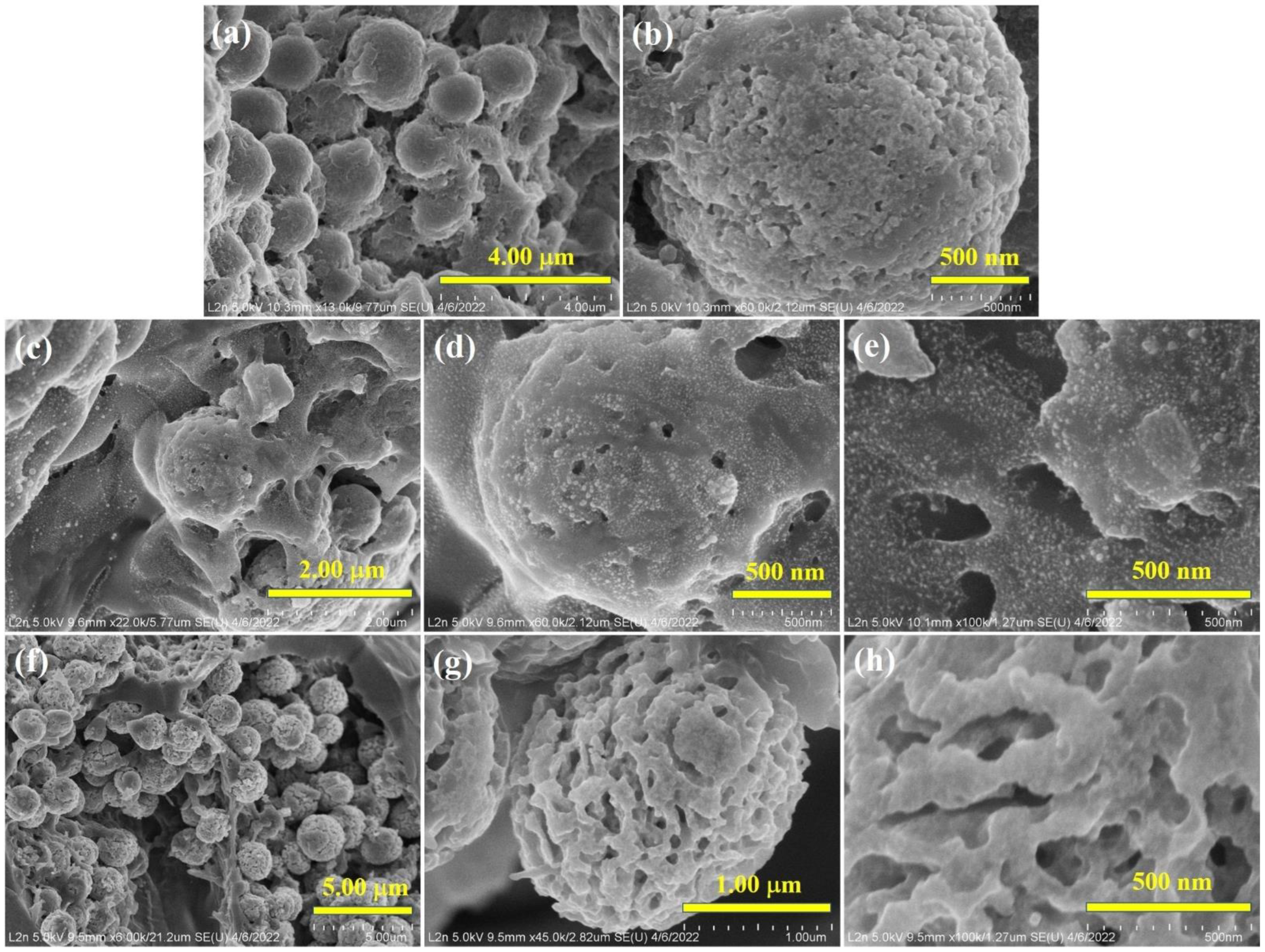 Carbon 08 00046 g007