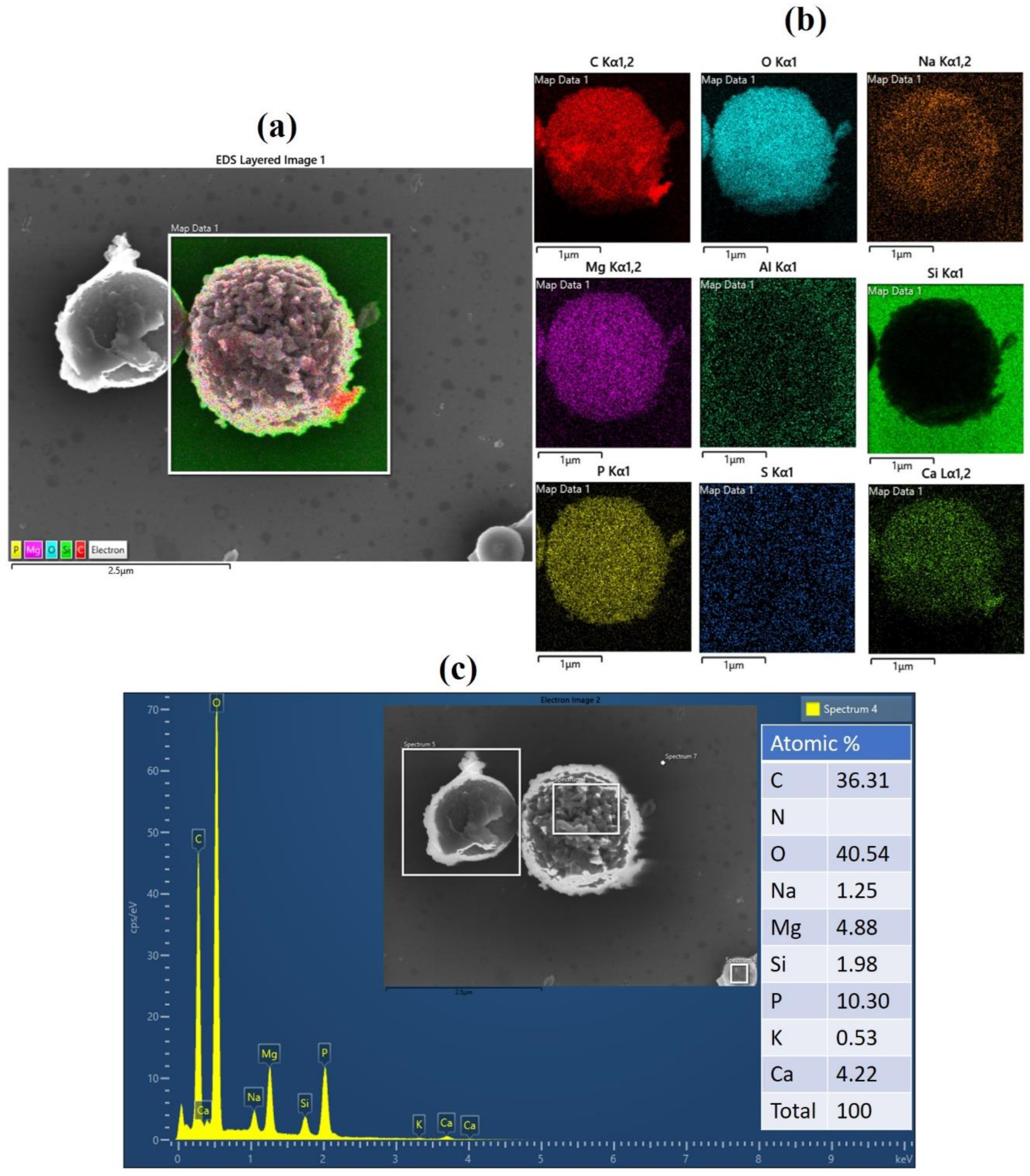 Carbon 08 00046 g008