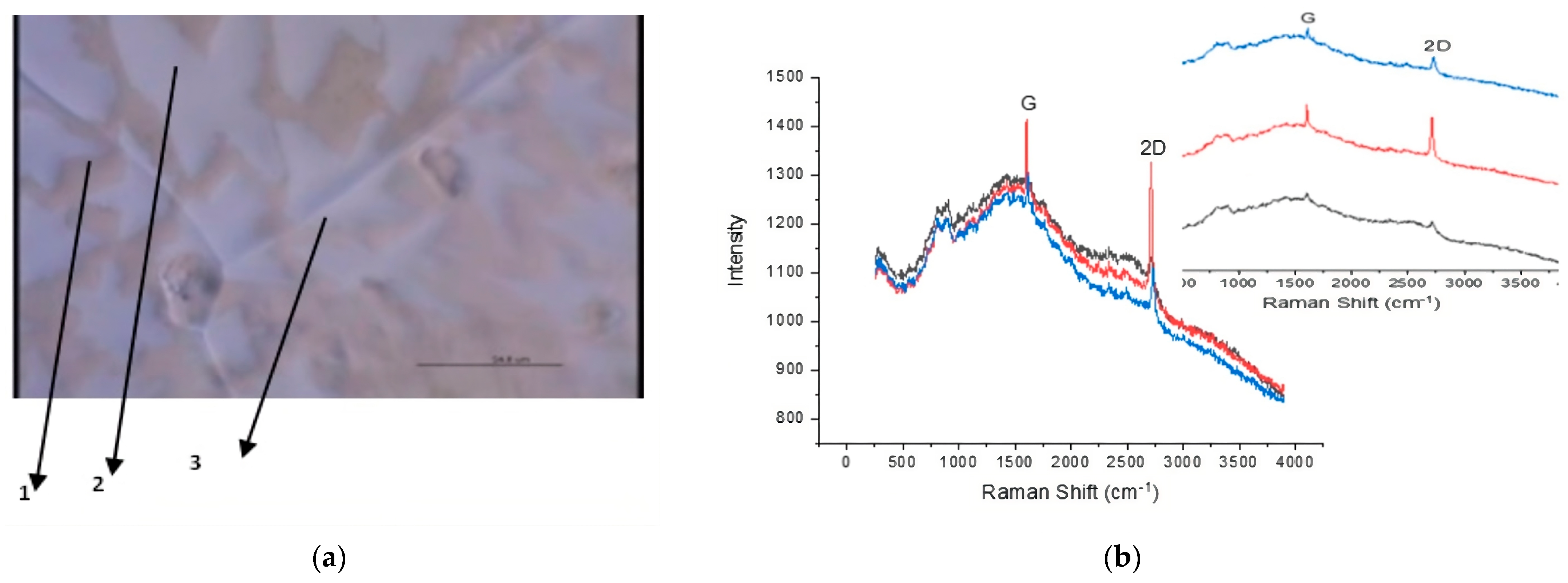 Carbon 10 00004 g005