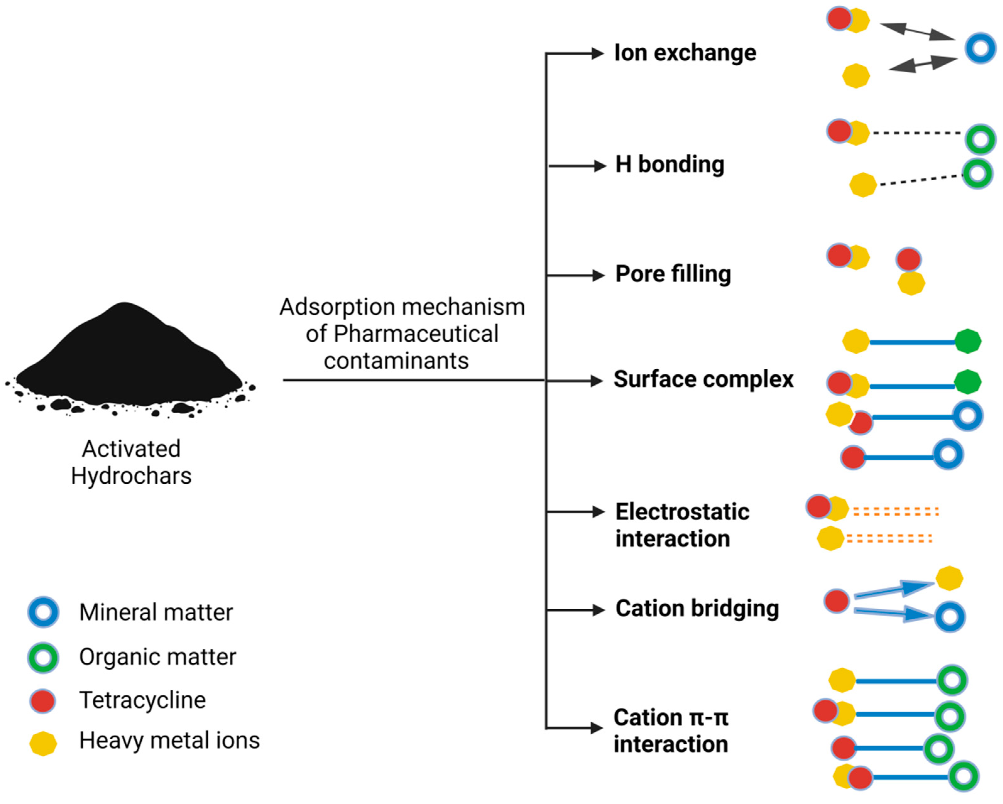 Carbon 10 00008 g002