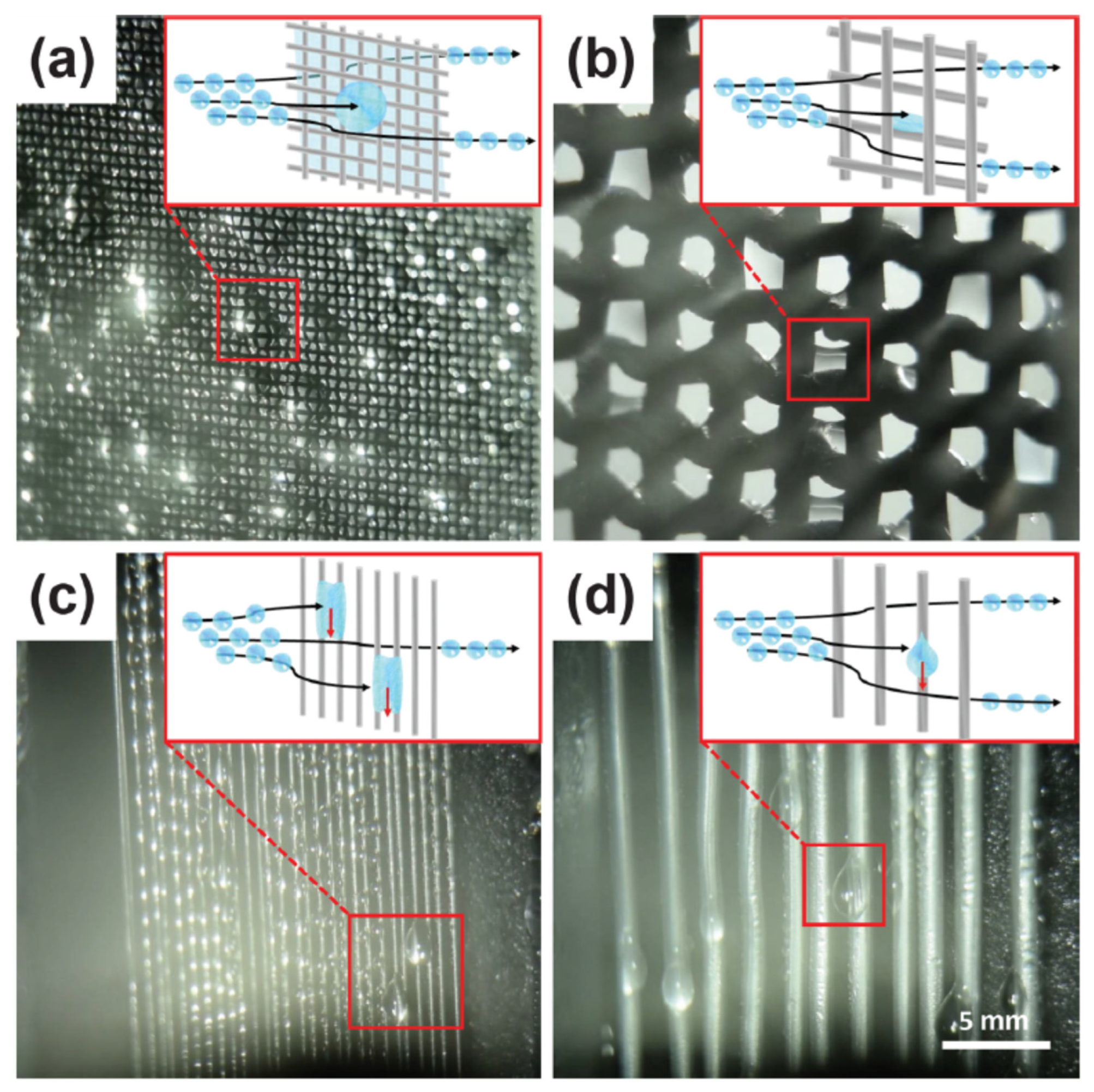 Carbon 10 00009 g001