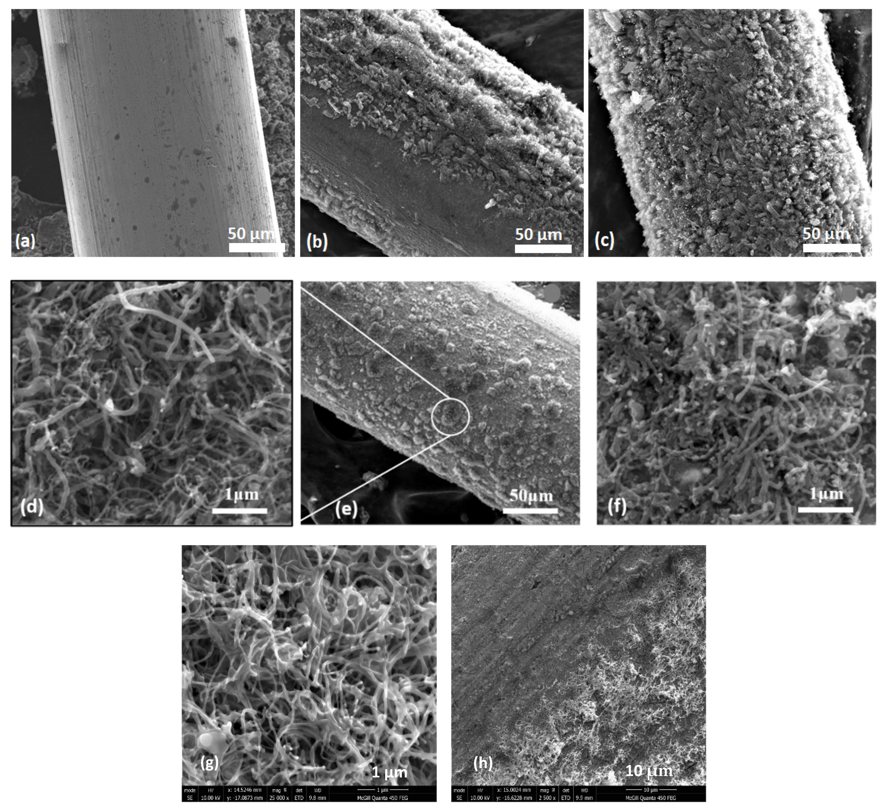 Carbon 10 00009 g008