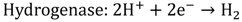 Catalysts 02 00490 i007