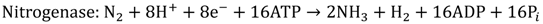 Catalysts 02 00490 i008