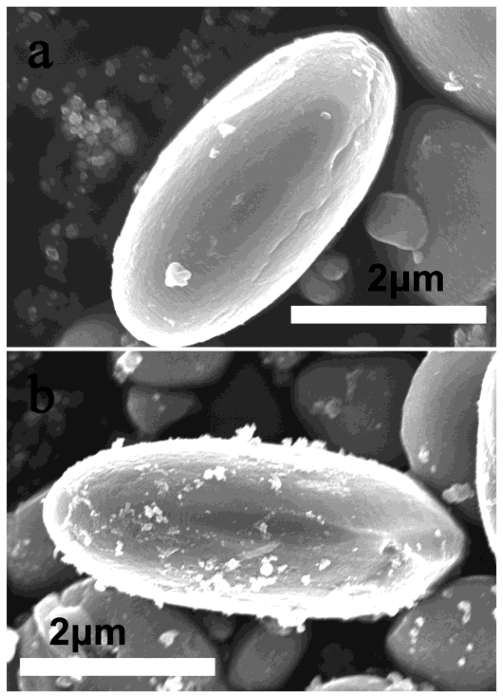 Catalysts 03 00036 g007 1024