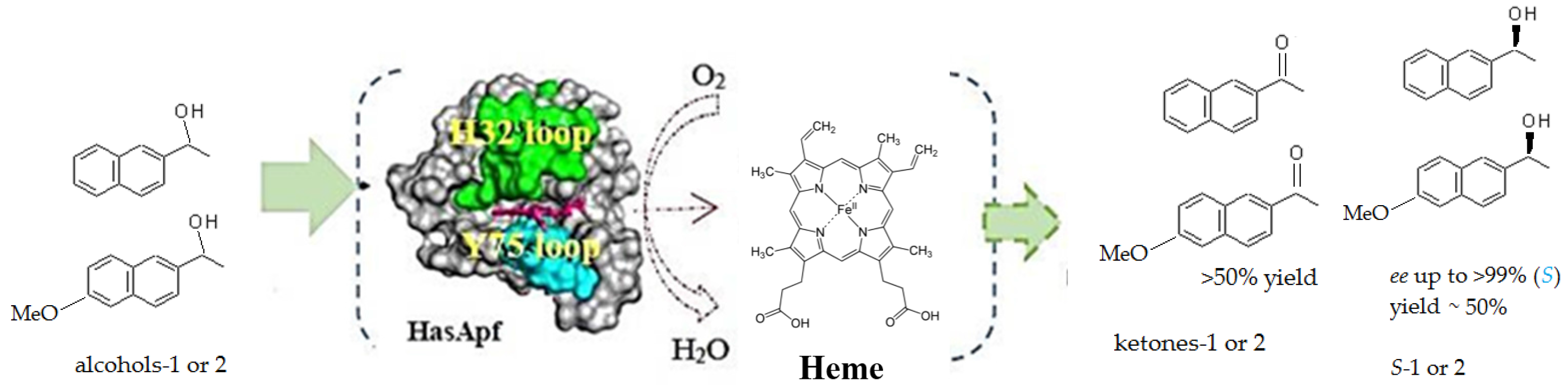 Catalysts 06 00038 g005