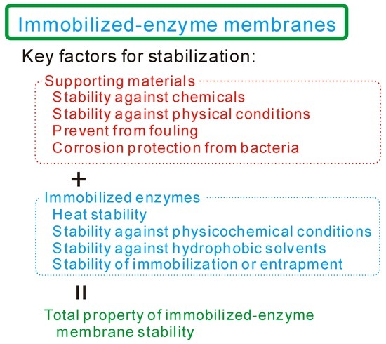 How to Lengthen the Long-Term Stability of Enzyme Membranes: Trends and Strategies How to Lengthen the Long-Term Stability of Enzyme Membranes: Trends and Strategies