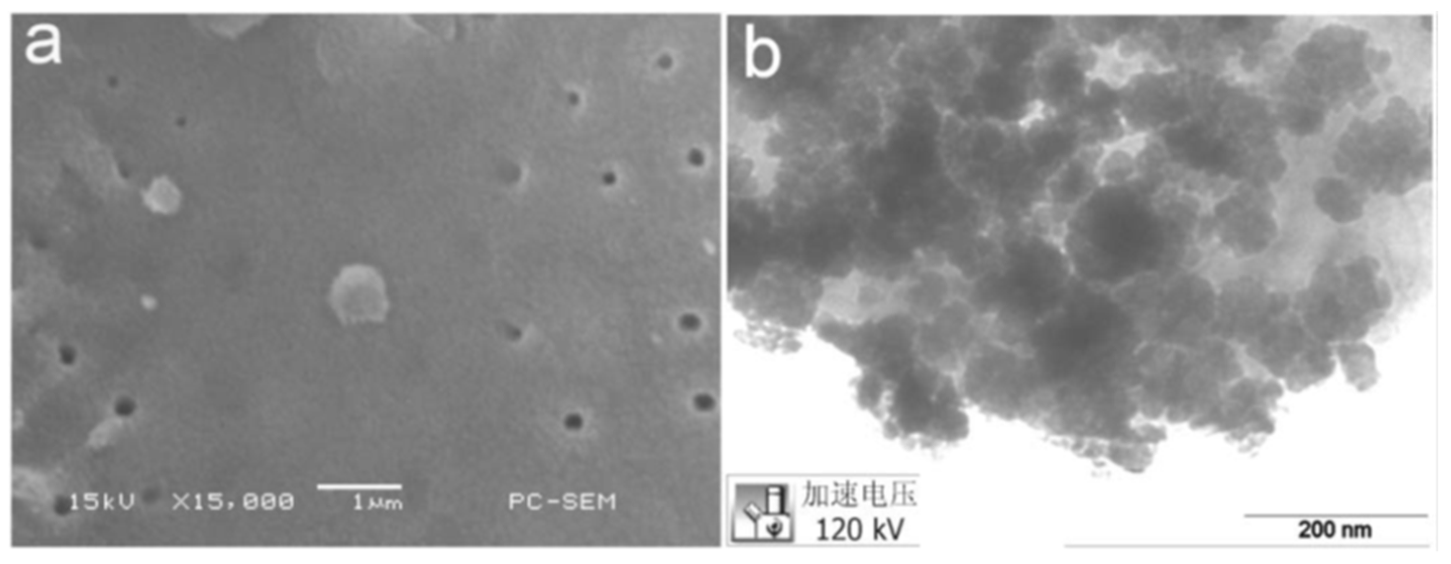 Catalysts 08 00343 g004