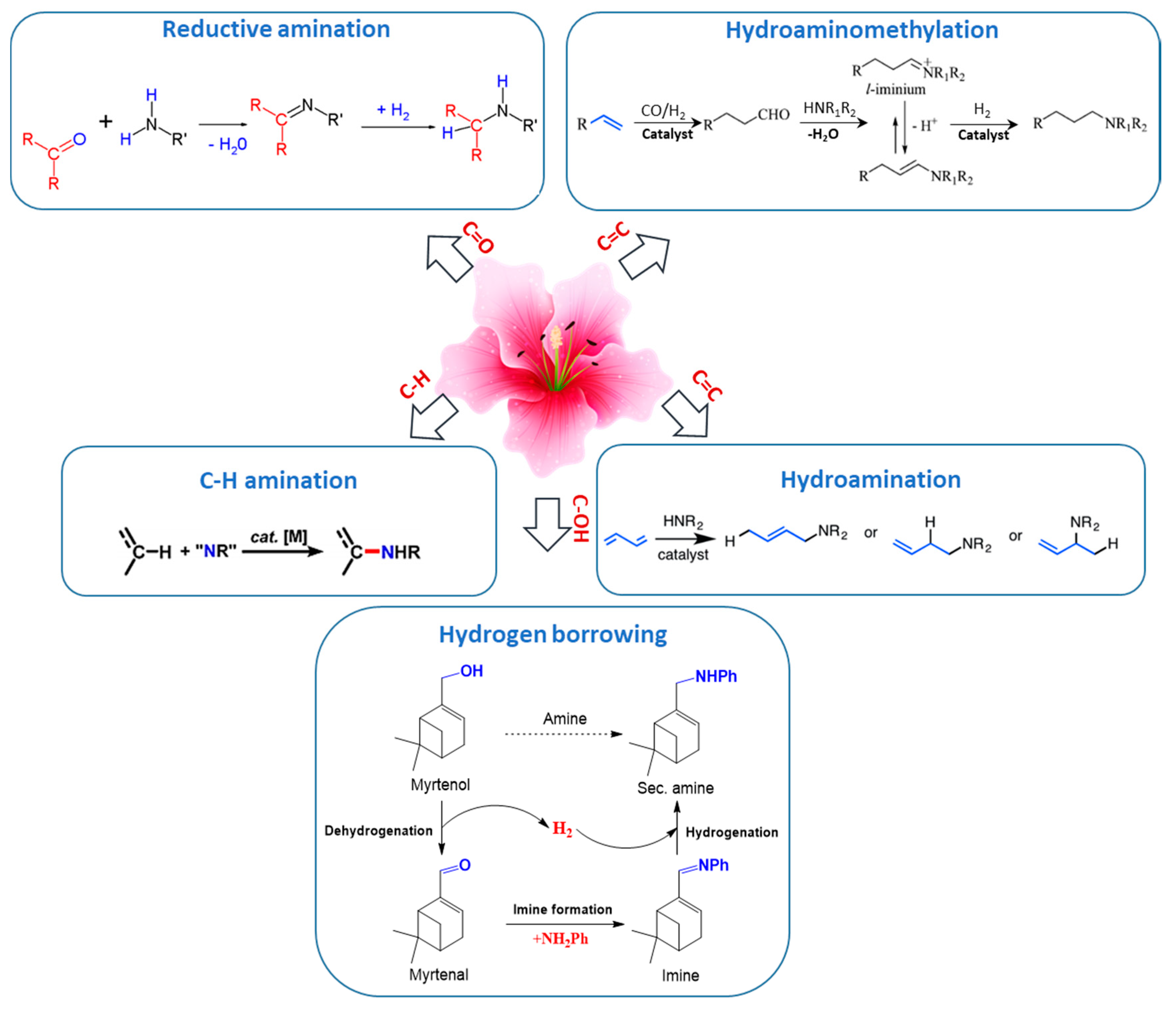 Catalysts 08 00365 g003