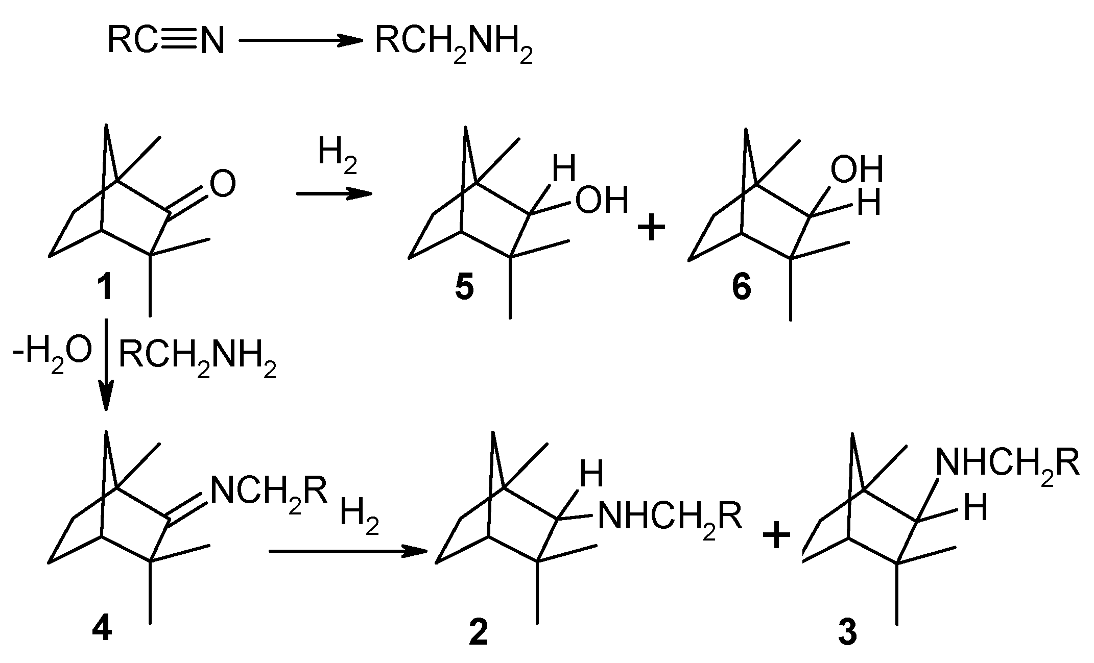 Catalysts 08 00365 g006