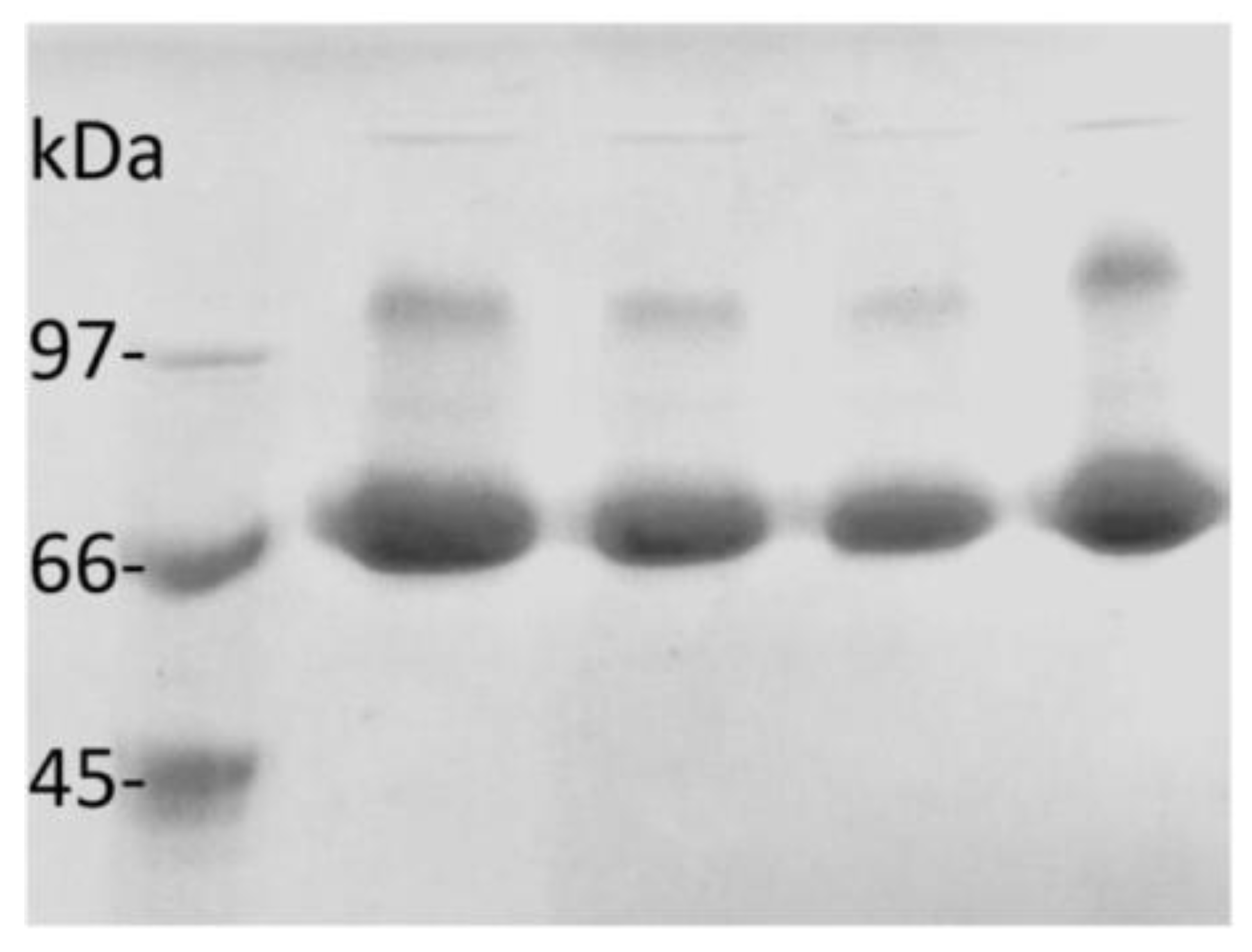 Catalysts 08 00496 g002