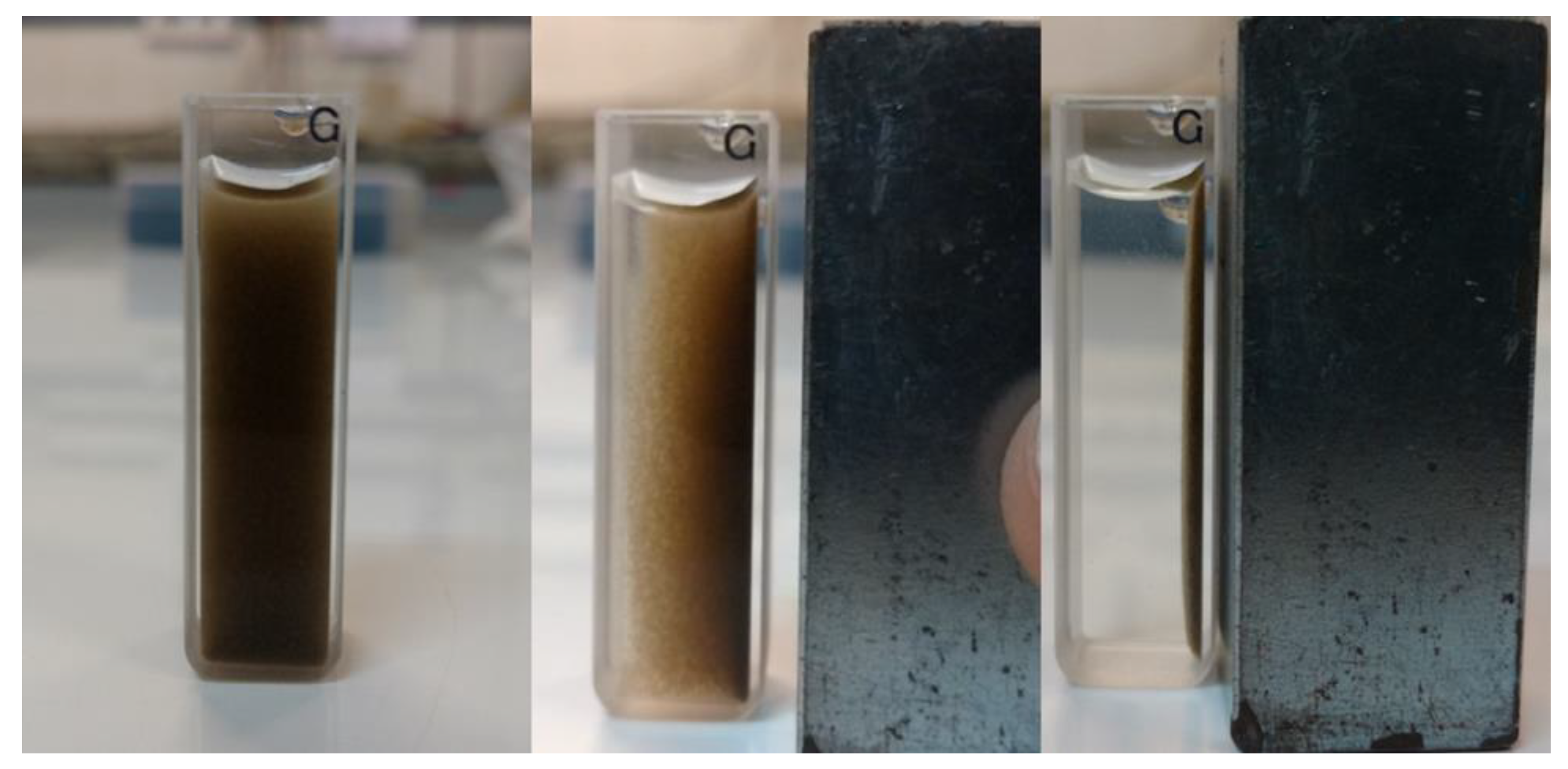 Catalysts 08 00496 g017