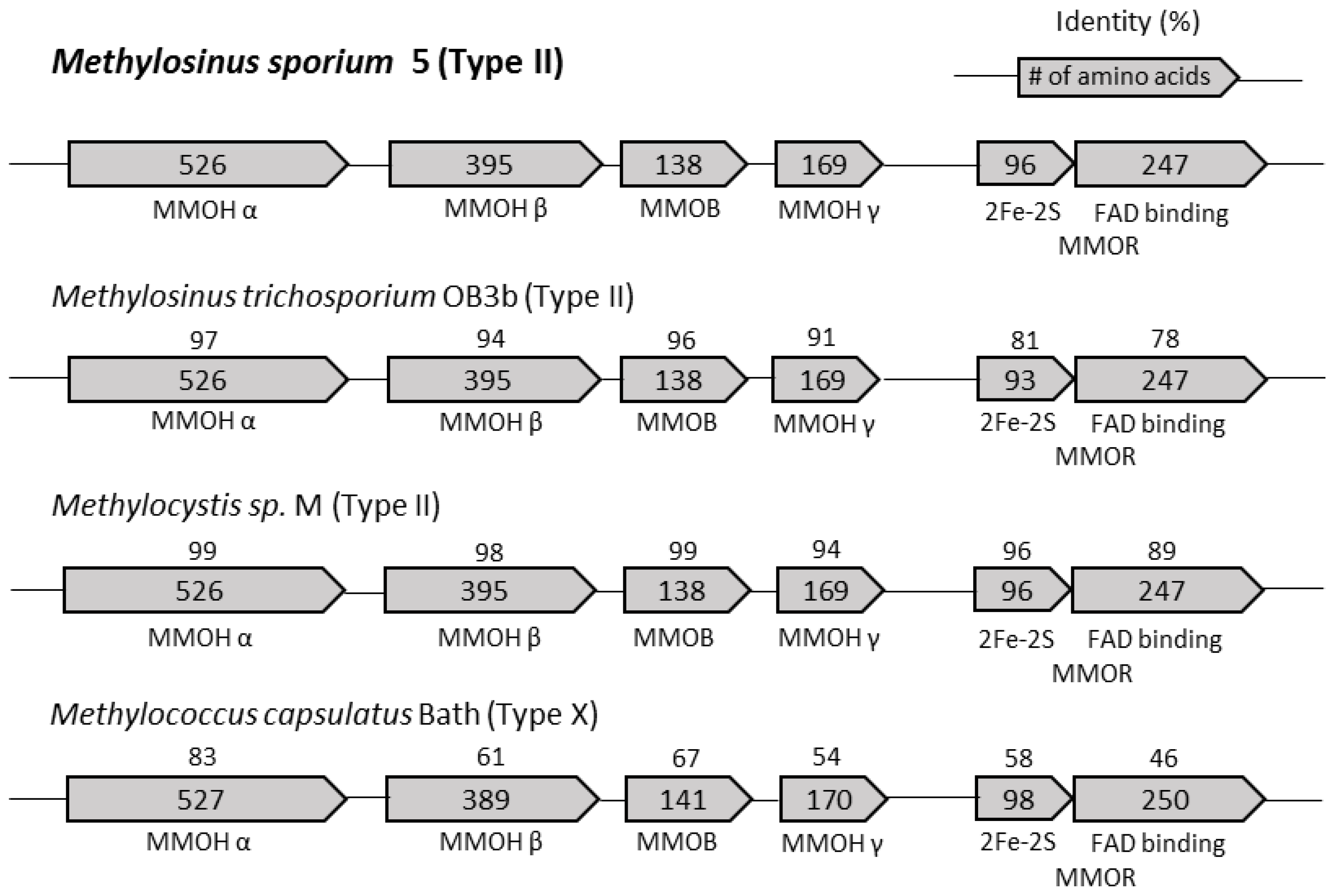 Catalysts 08 00582 g001
