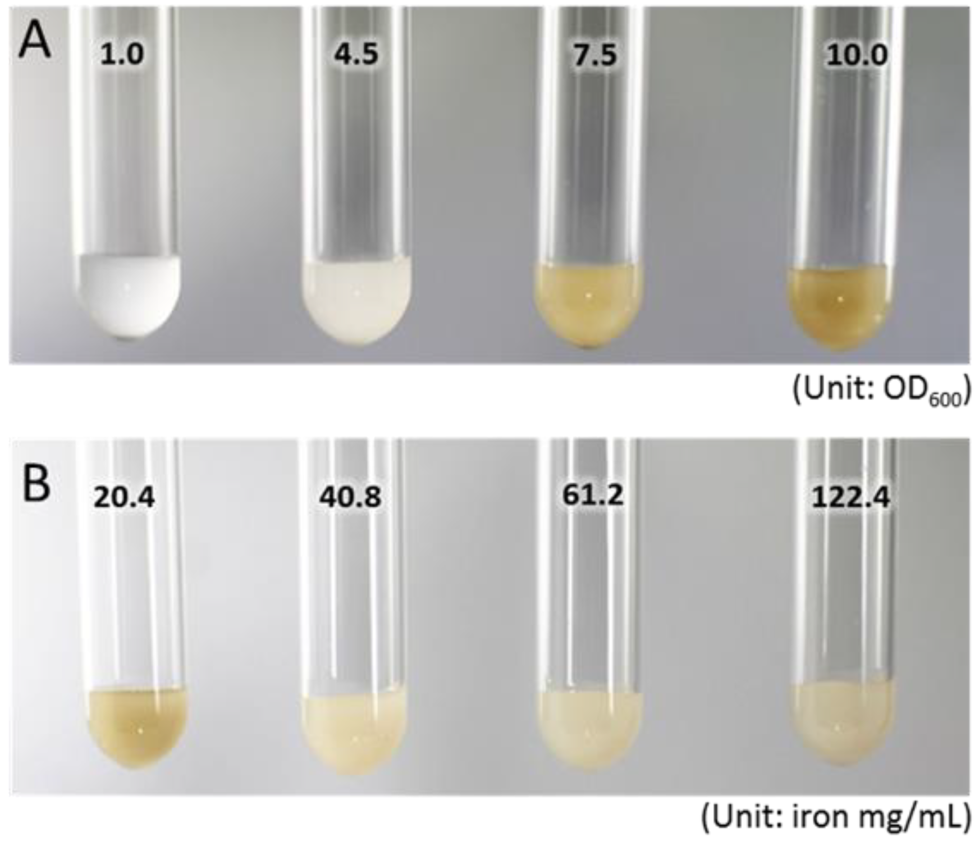 Catalysts 08 00582 g002