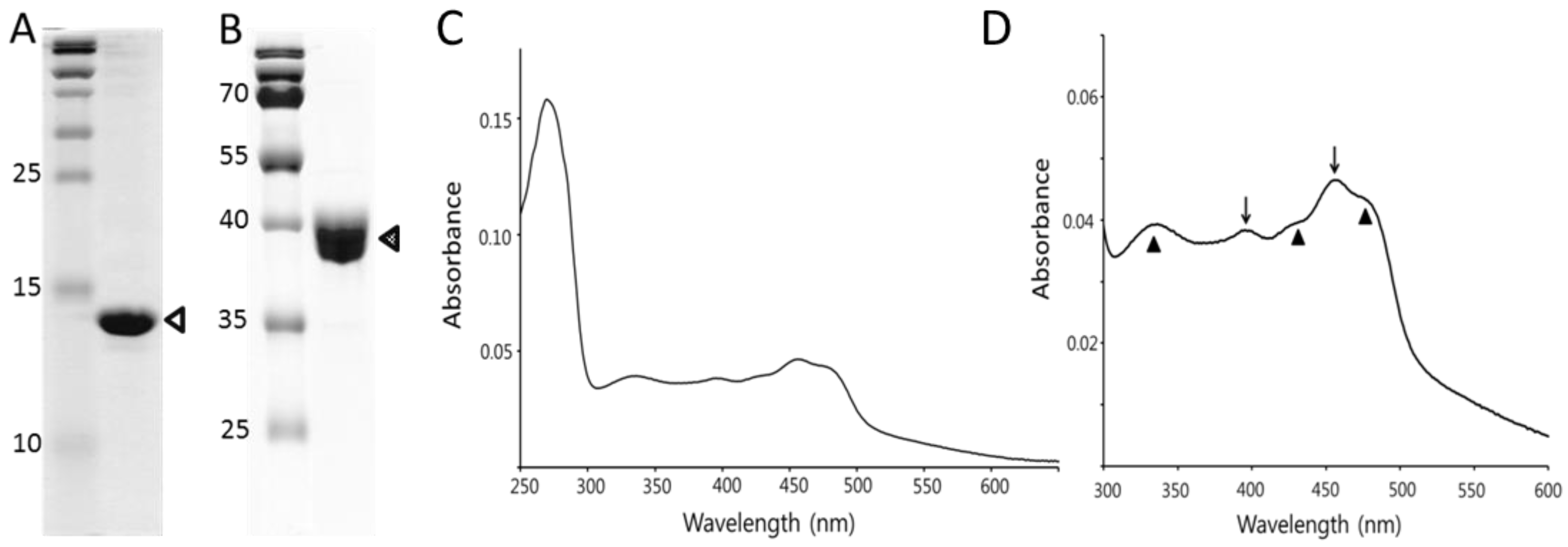 Catalysts 08 00582 g004