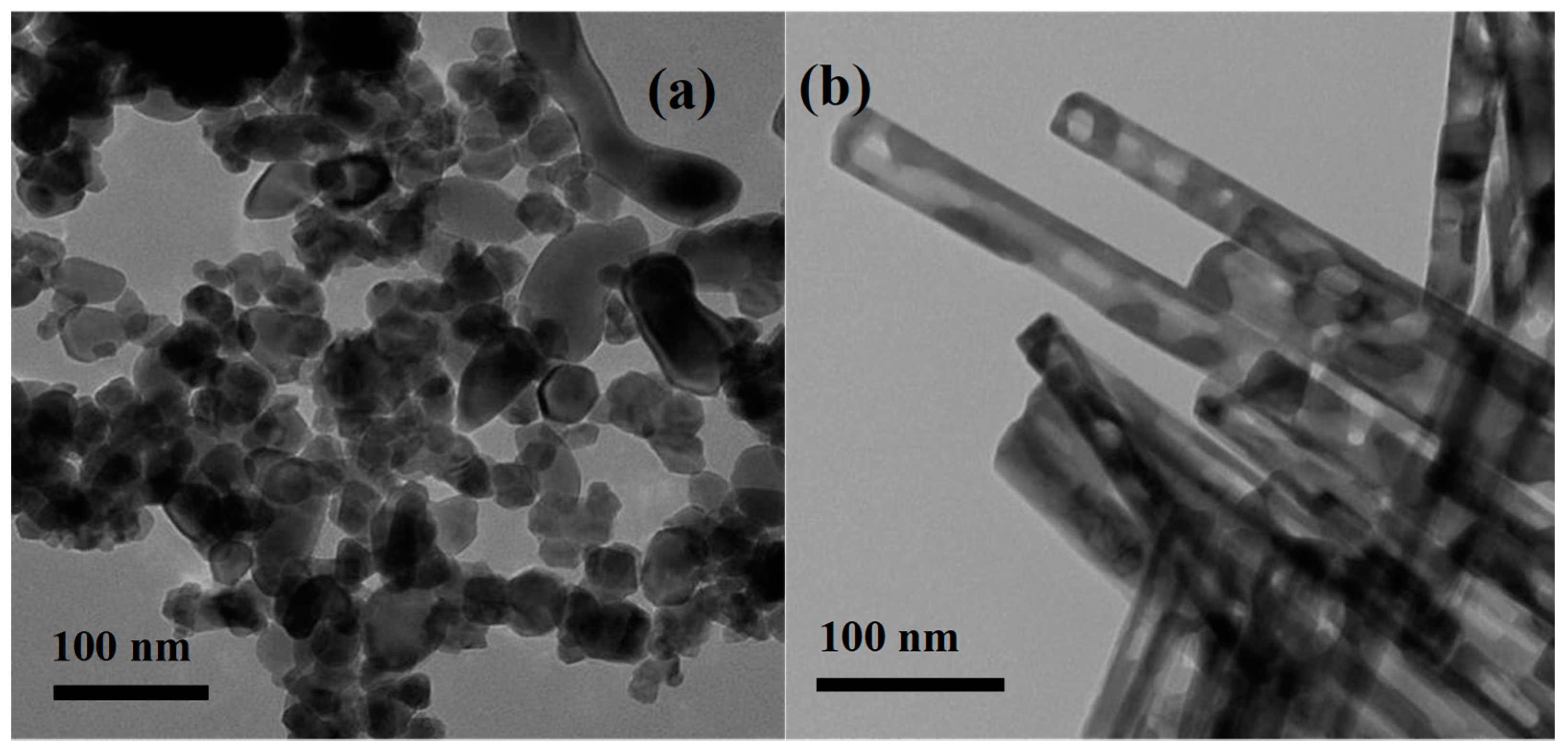 Catalysts 08 00635 g001