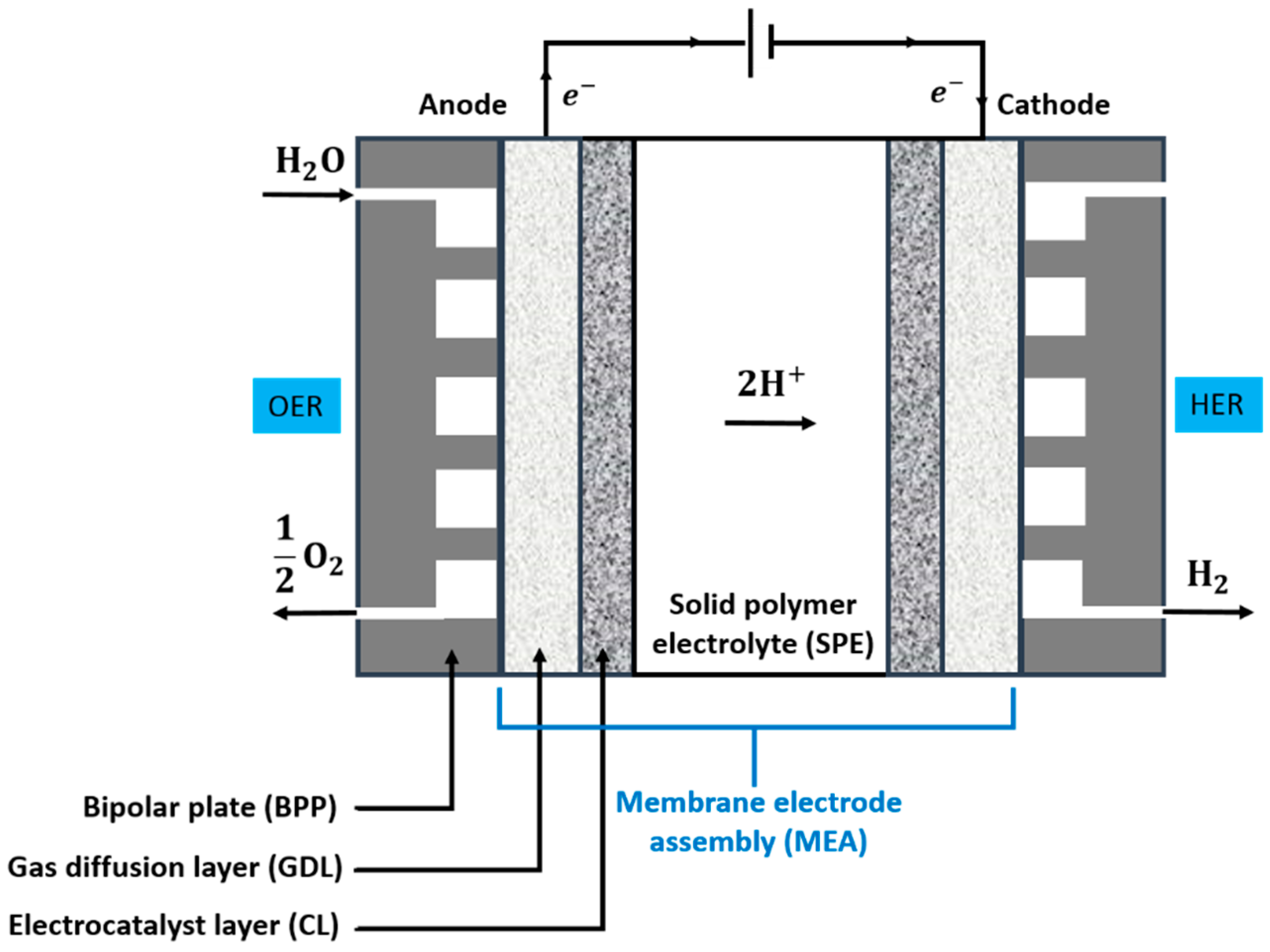 Catalysts 08 00657 g003 Catalysts 08 00657 g003