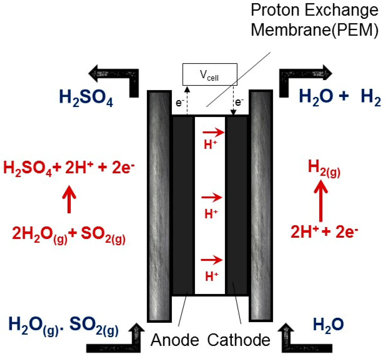 Catalysts 09 00063 g003 Catalysts 09 00063 g003