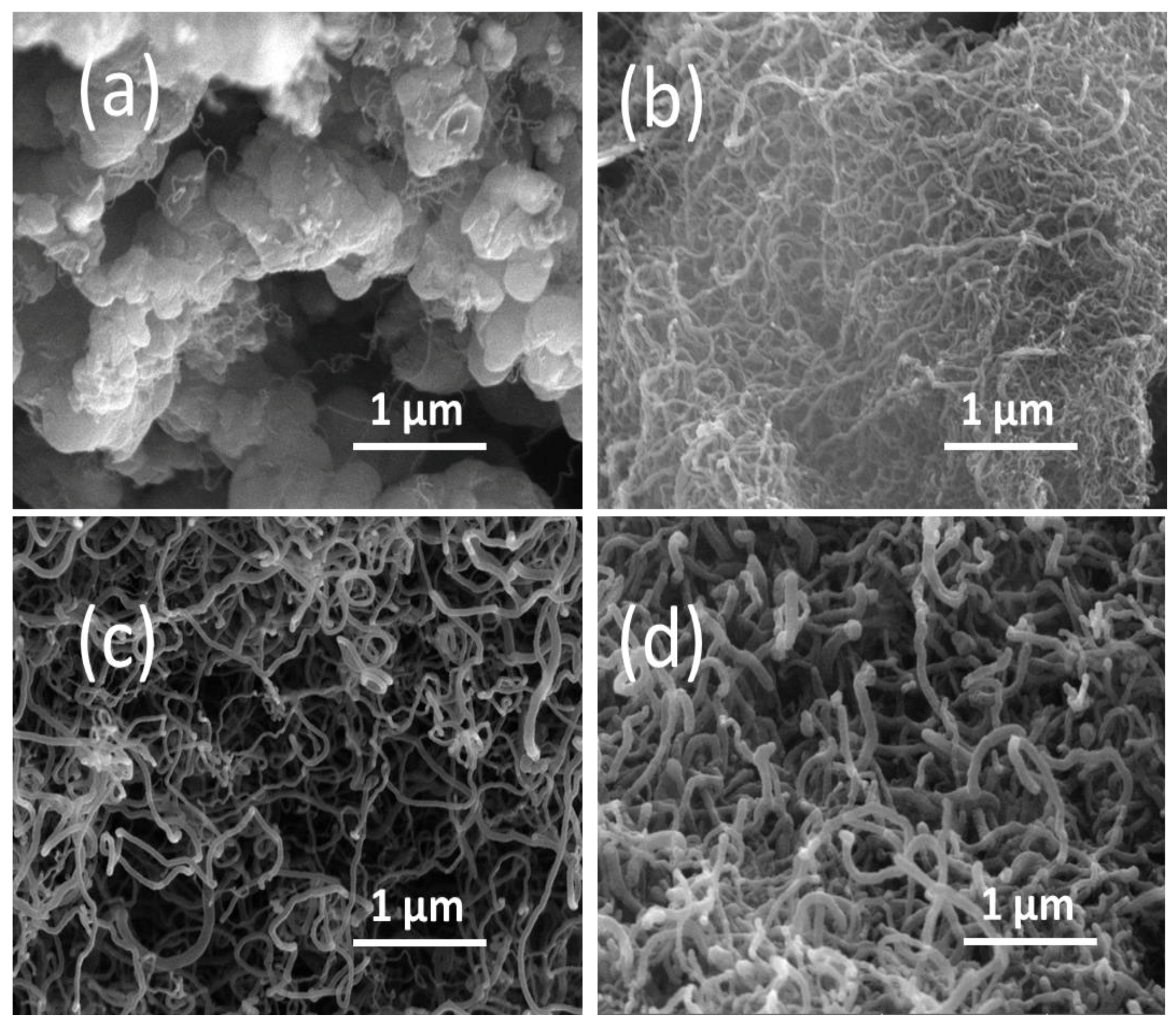 Catalysts 09 00068 g011