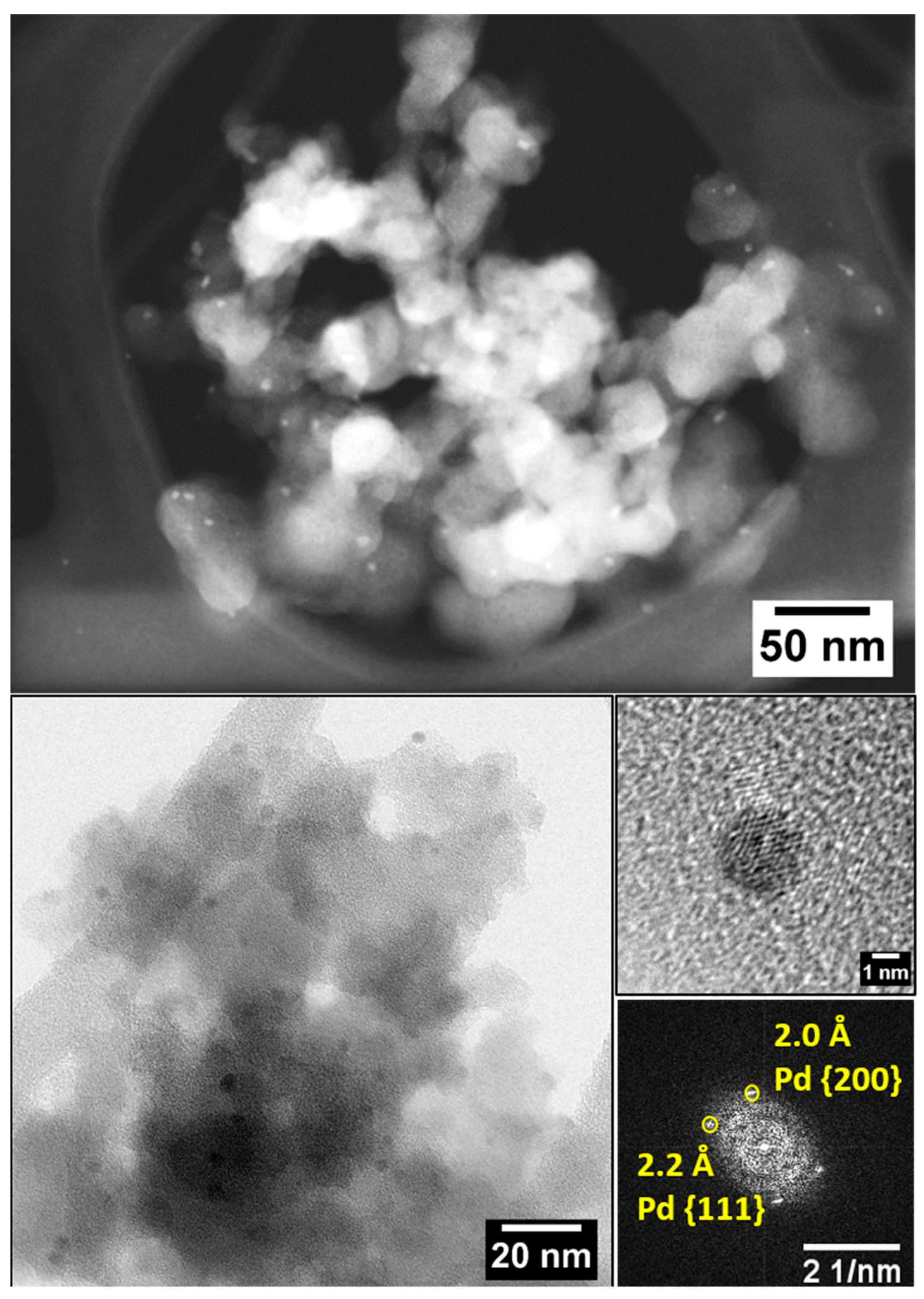 Catalysts 09 00124 g005