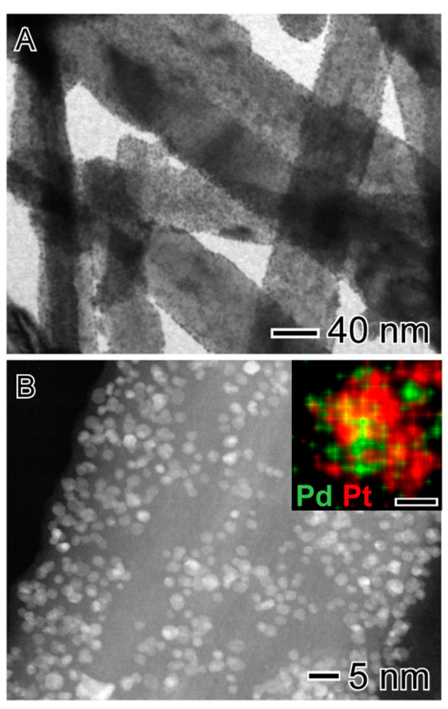 Catalysts 09 00132 g004