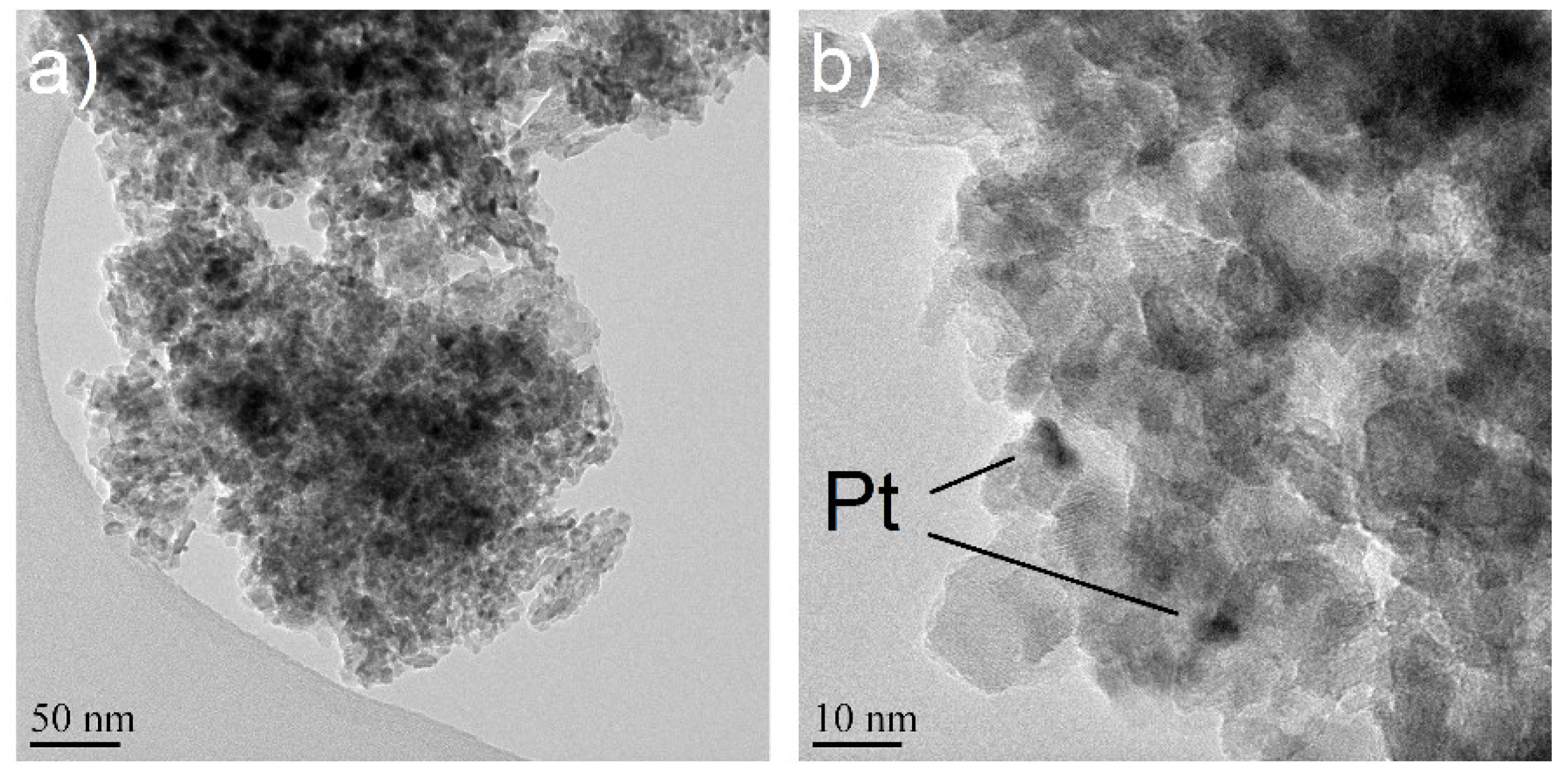 Catalysts 09 00137 g003