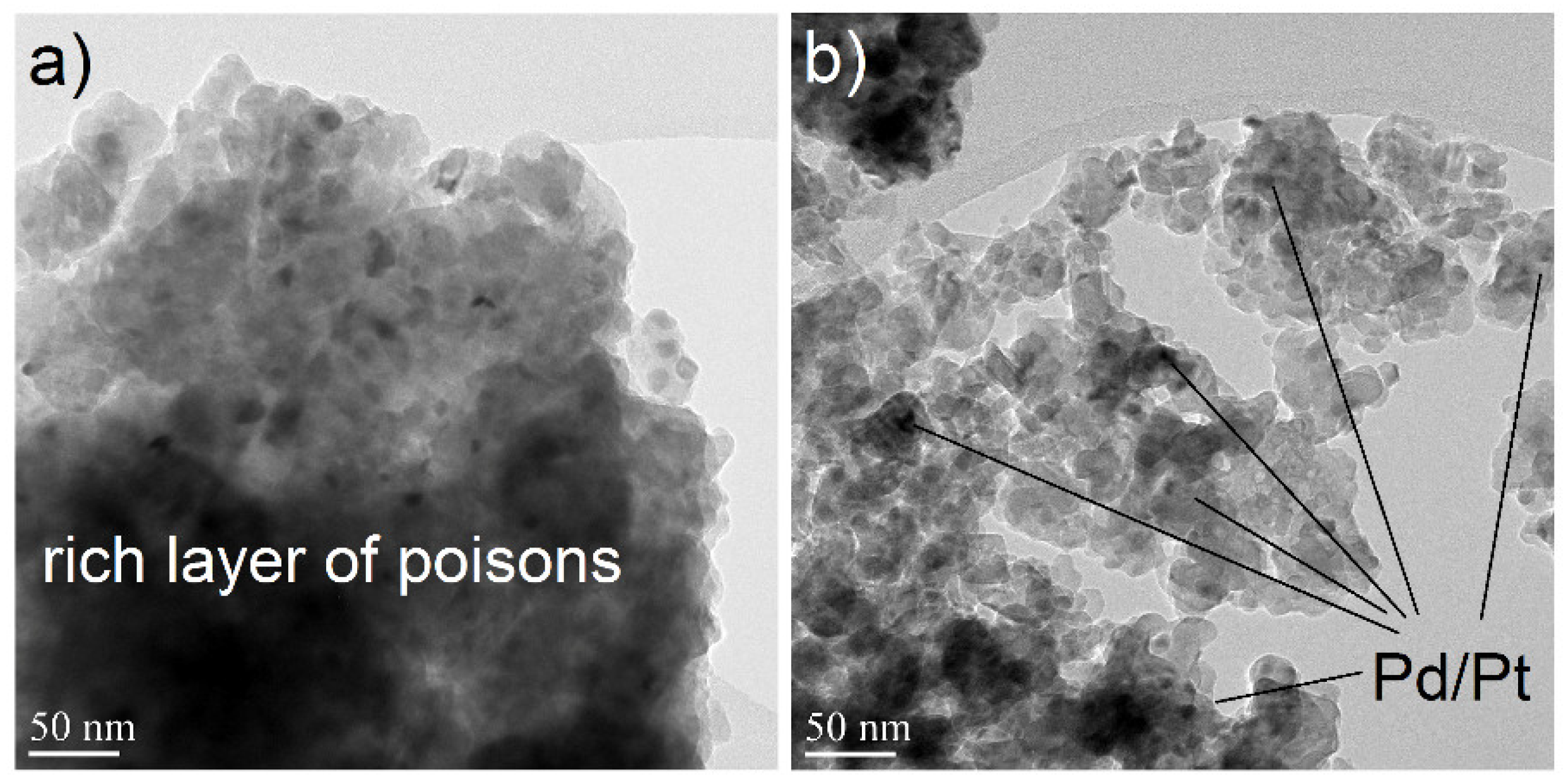 Catalysts 09 00137 g015