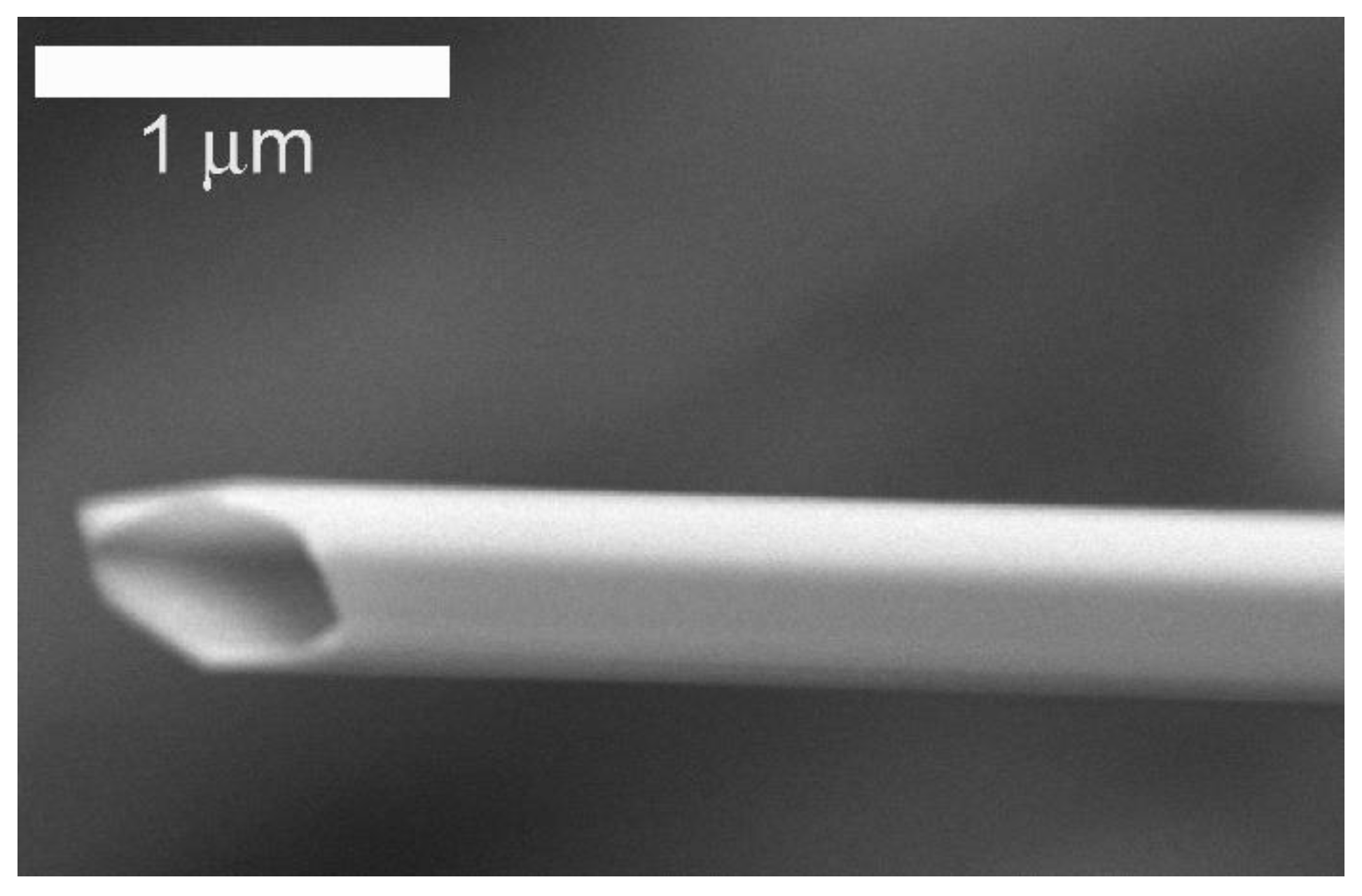 Catalysts 09 00328 g001