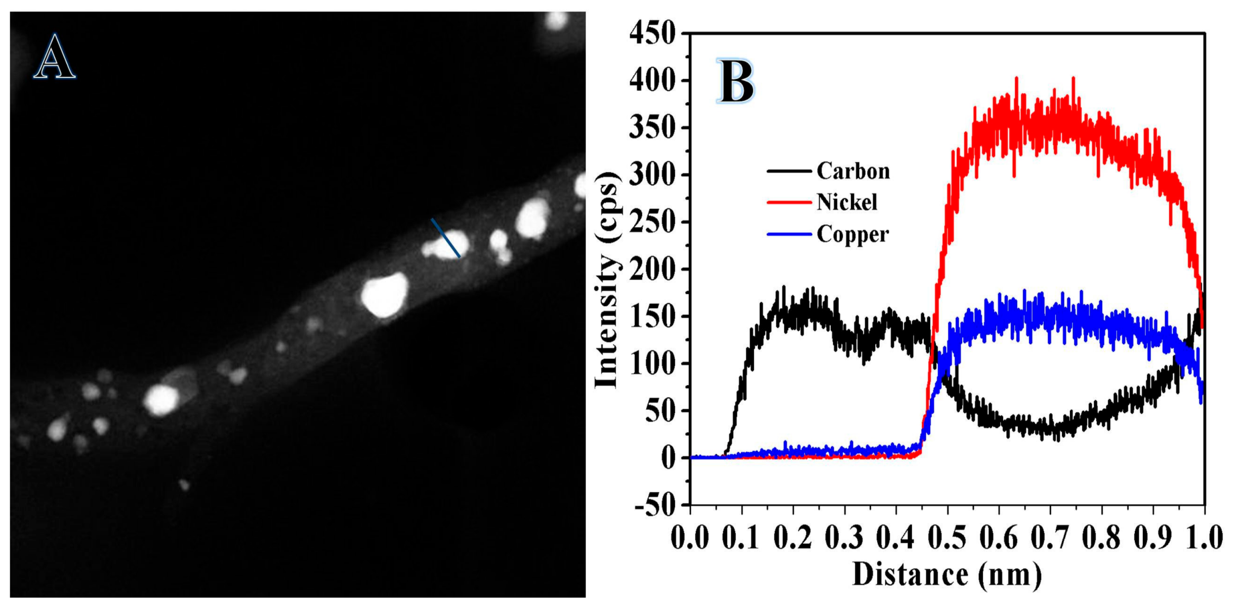 Catalysts 09 00397 g006