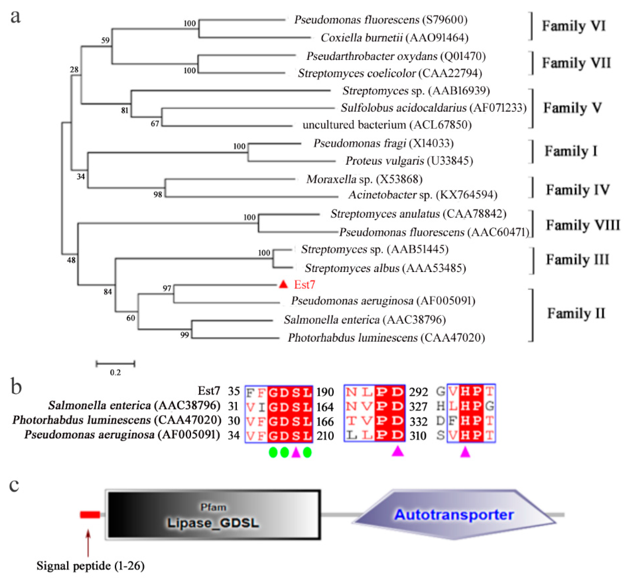 Catalysts 09 00401 g001