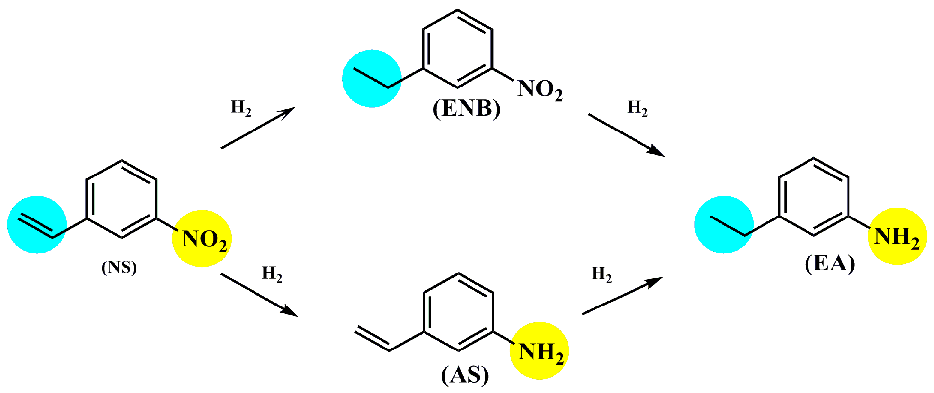 Catalysts 09 00428 sch001