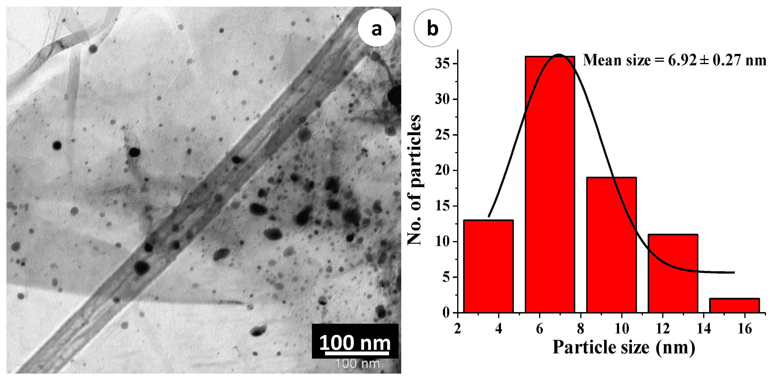 Catalysts 09 00469 g004