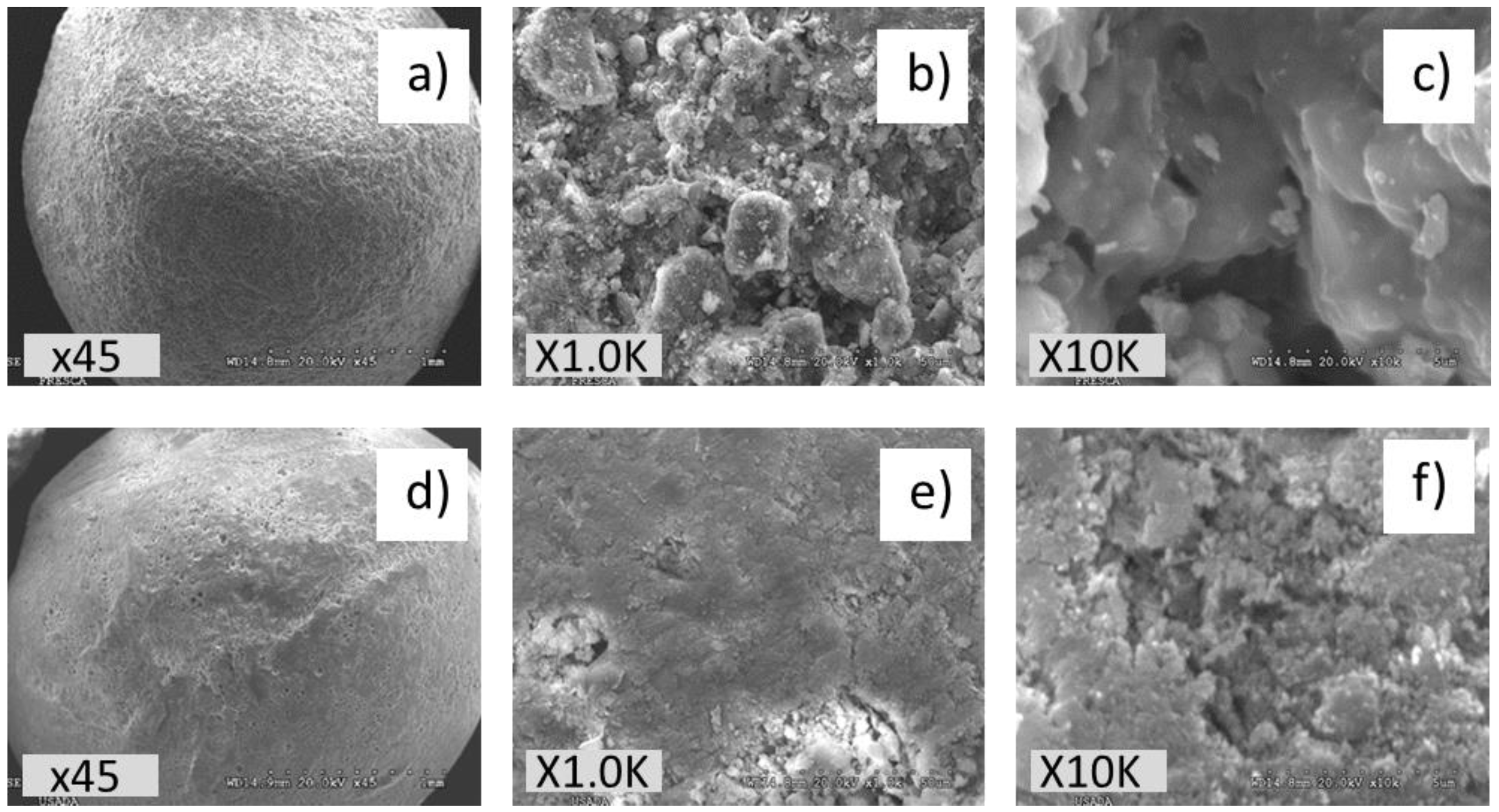 Catalysts 09 00518 g004