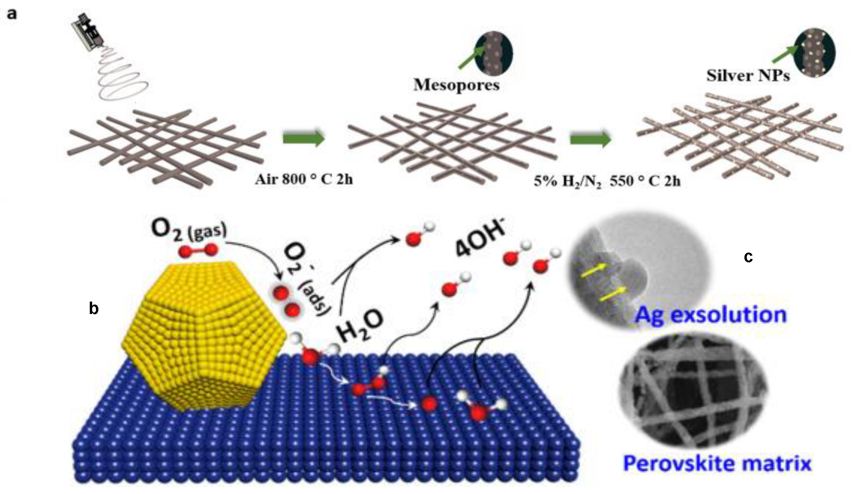 Catalysts 09 00721 g006