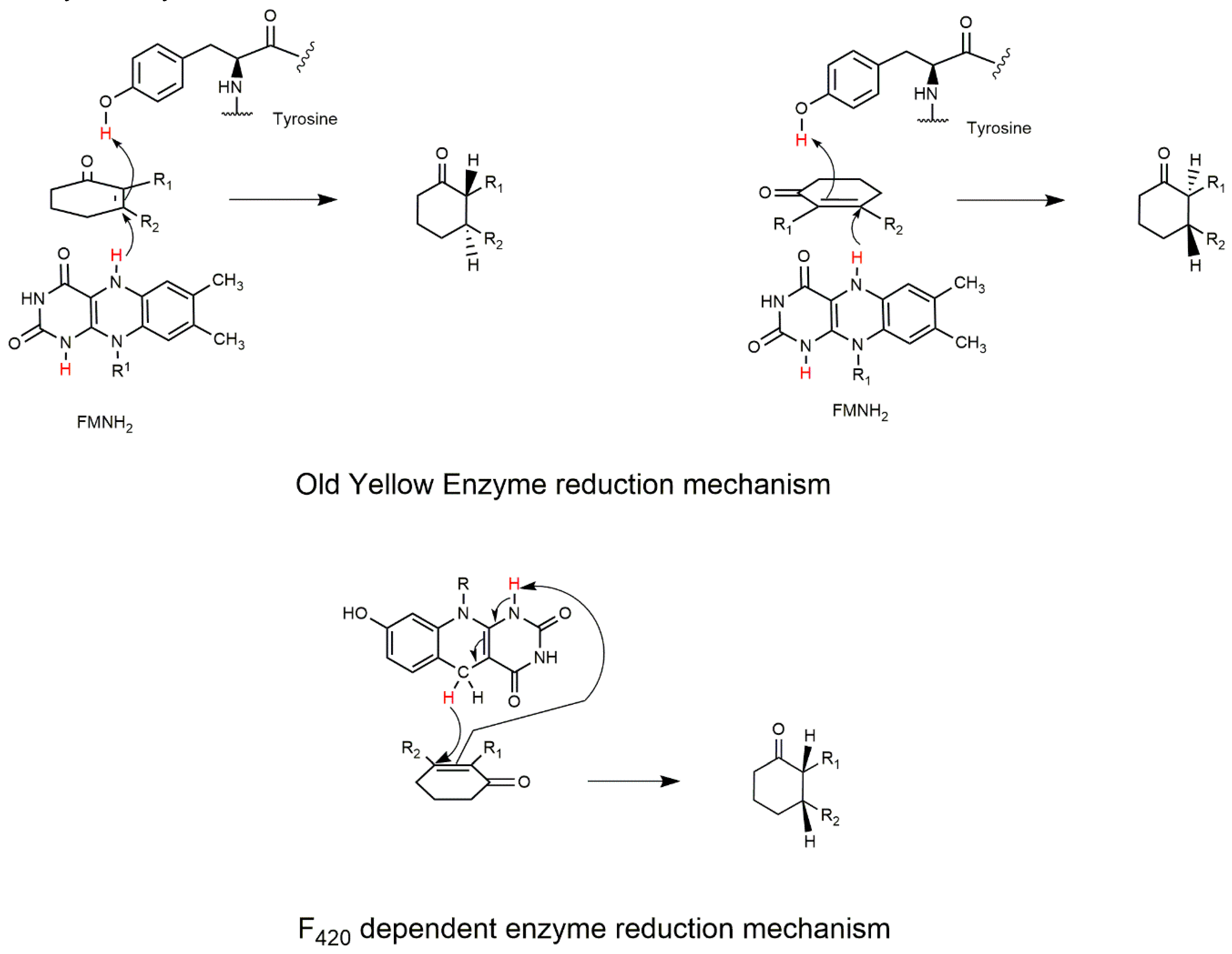 Catalysts 09 00868 g005