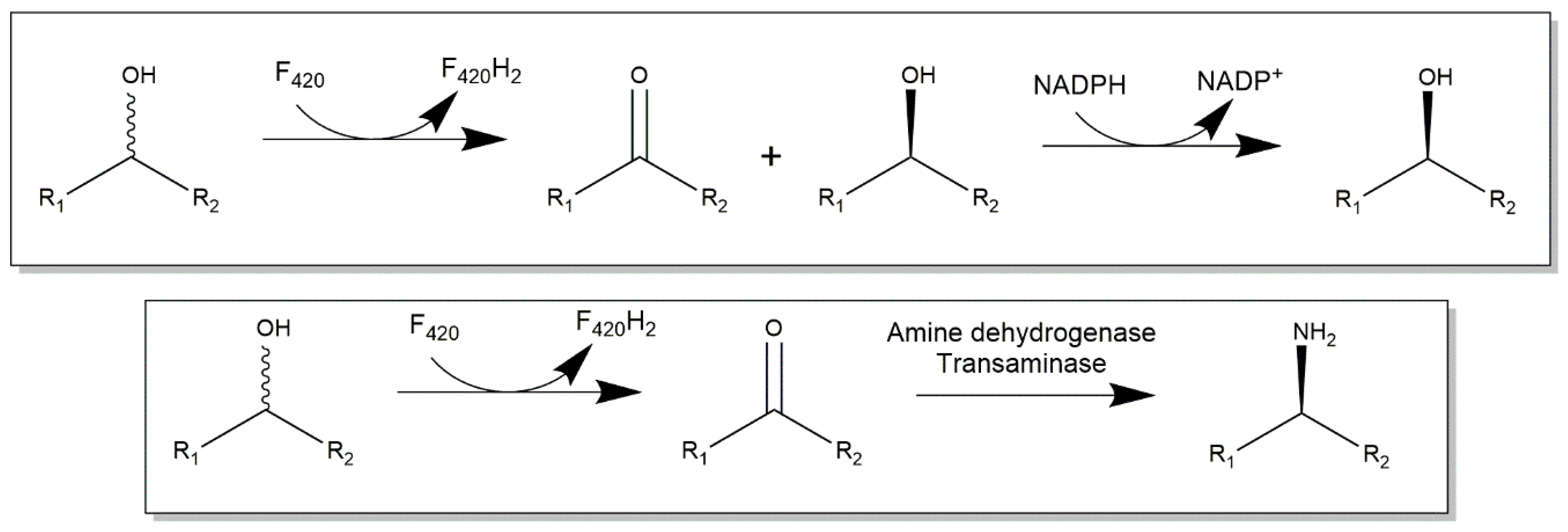 Catalysts 09 00868 g006