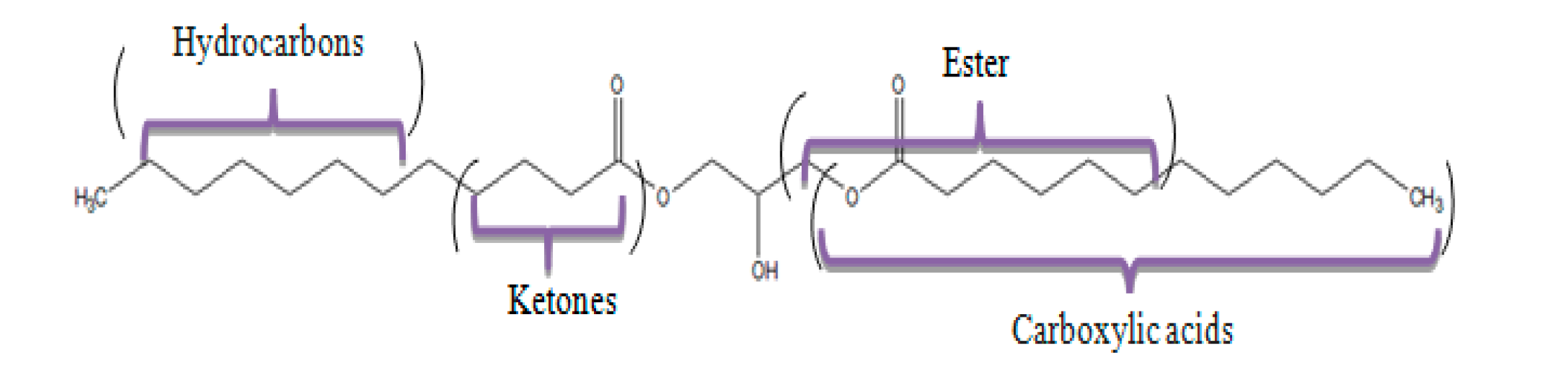 Catalysts 09 00993 g001