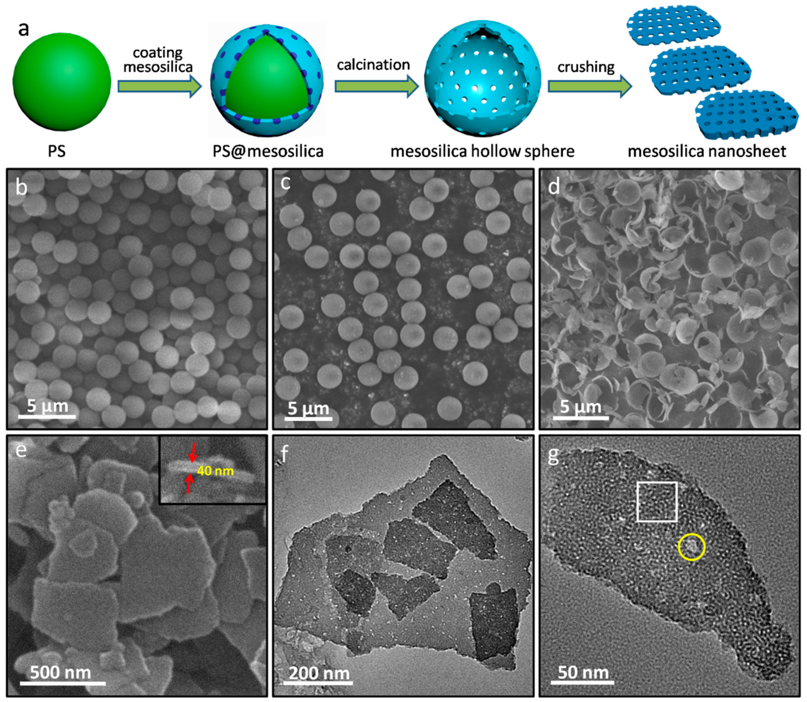 Catalysts Free Full Text Mesoporous Silica Nanosheets With Tunable