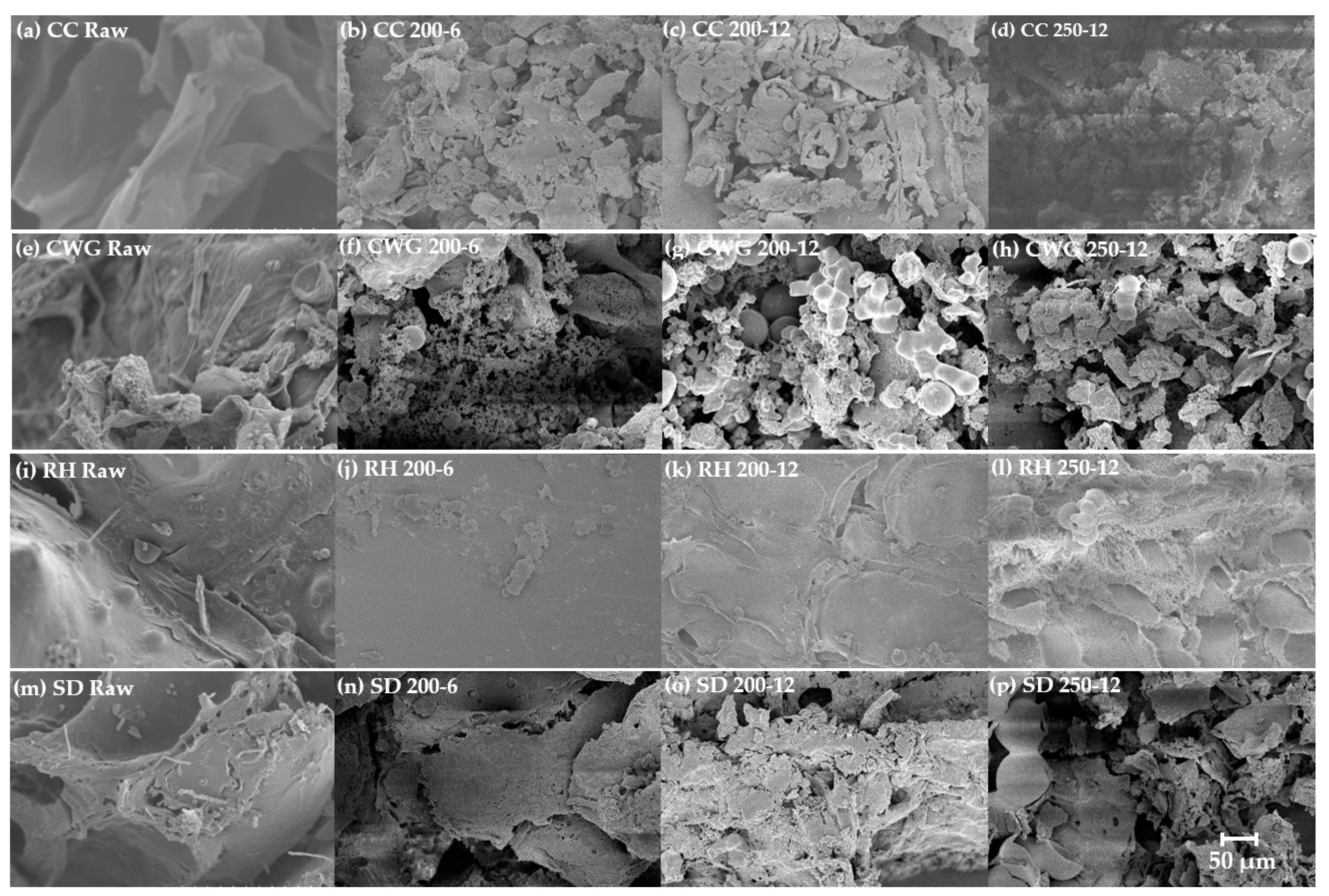 Catalysts 10 00177 g002