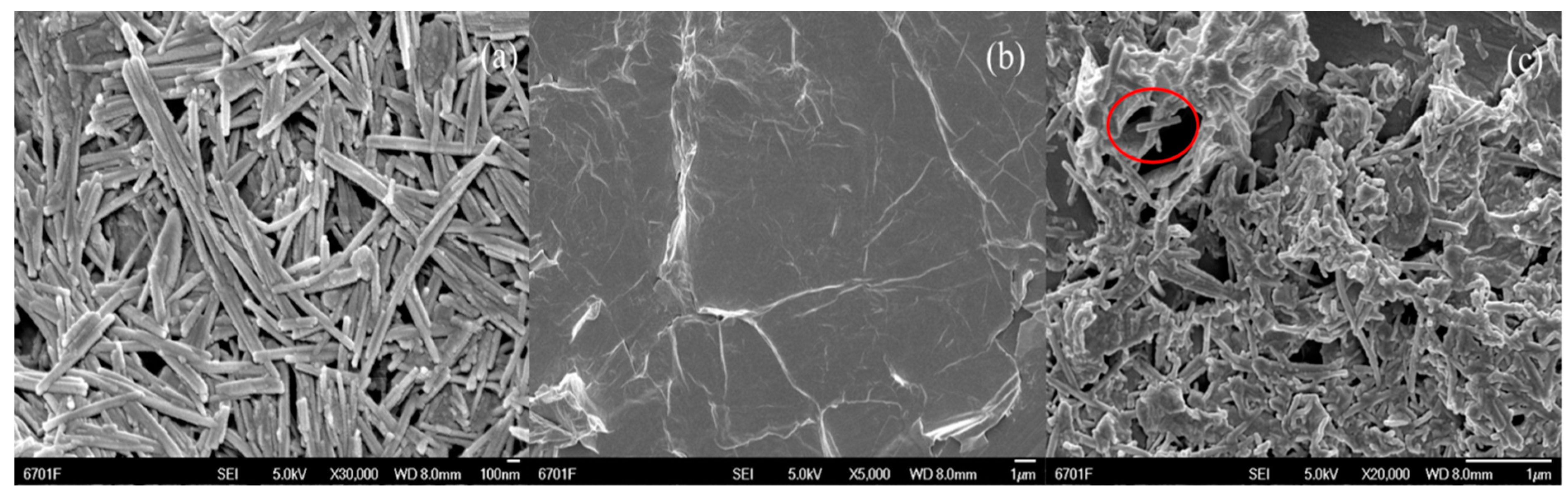 Catalysts 10 00189 g001