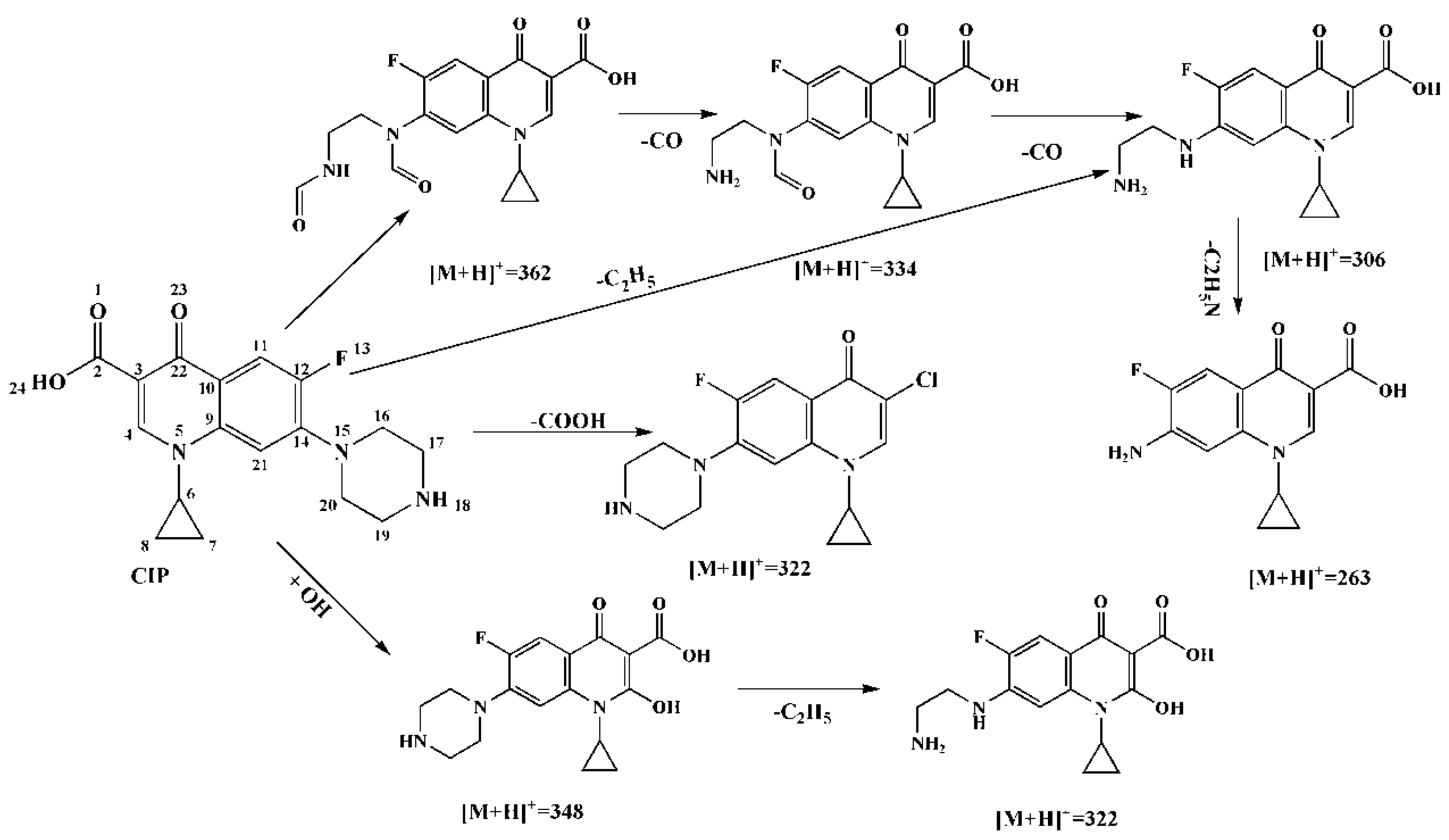 Catalysts 10 00189 g007