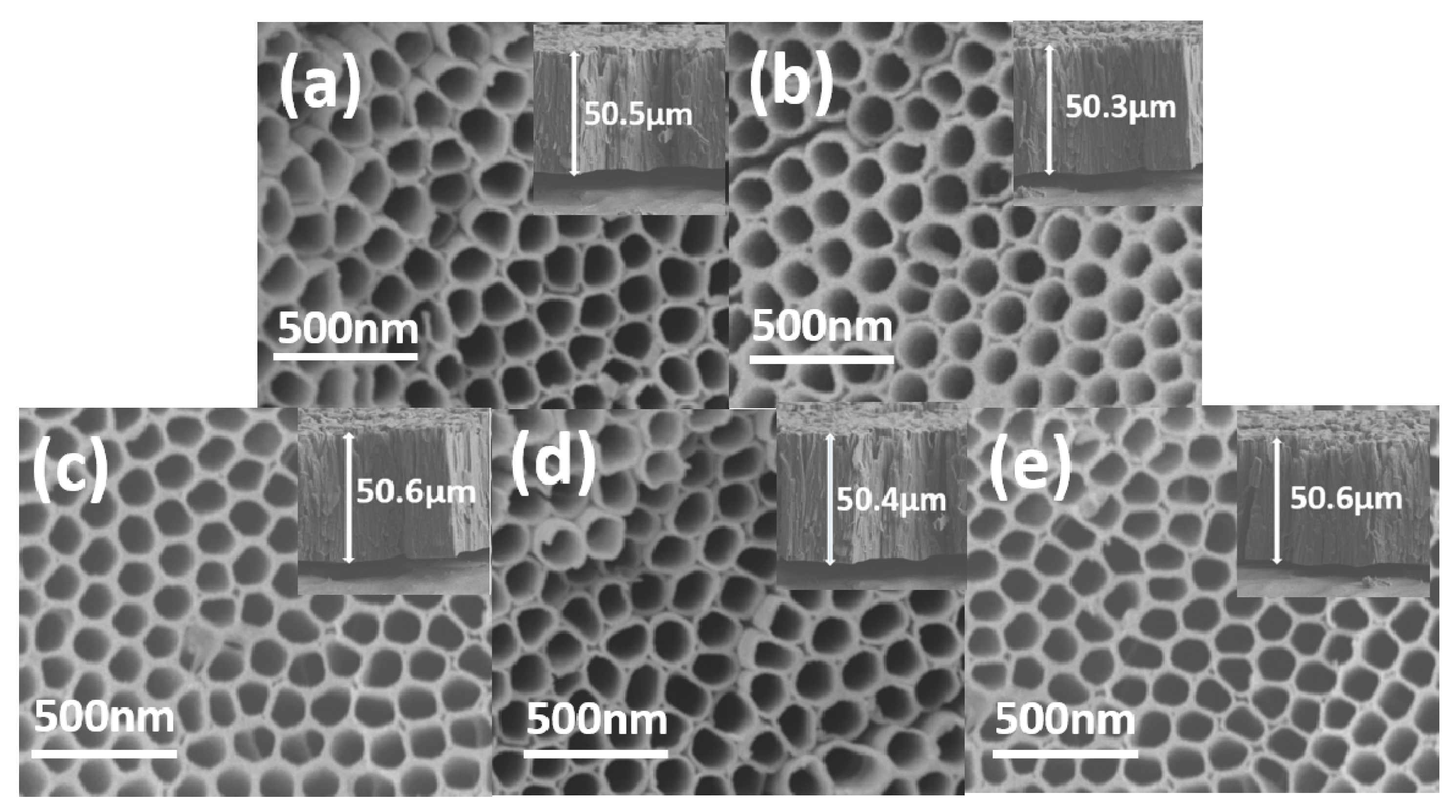 Catalysts 10 00298 g006