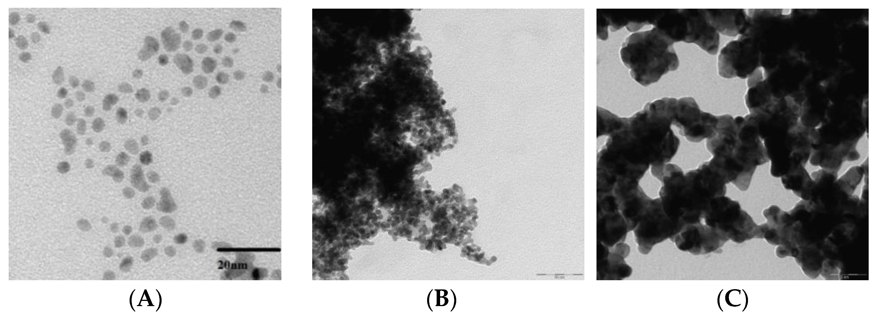 Catalysts 10 00877 g002
