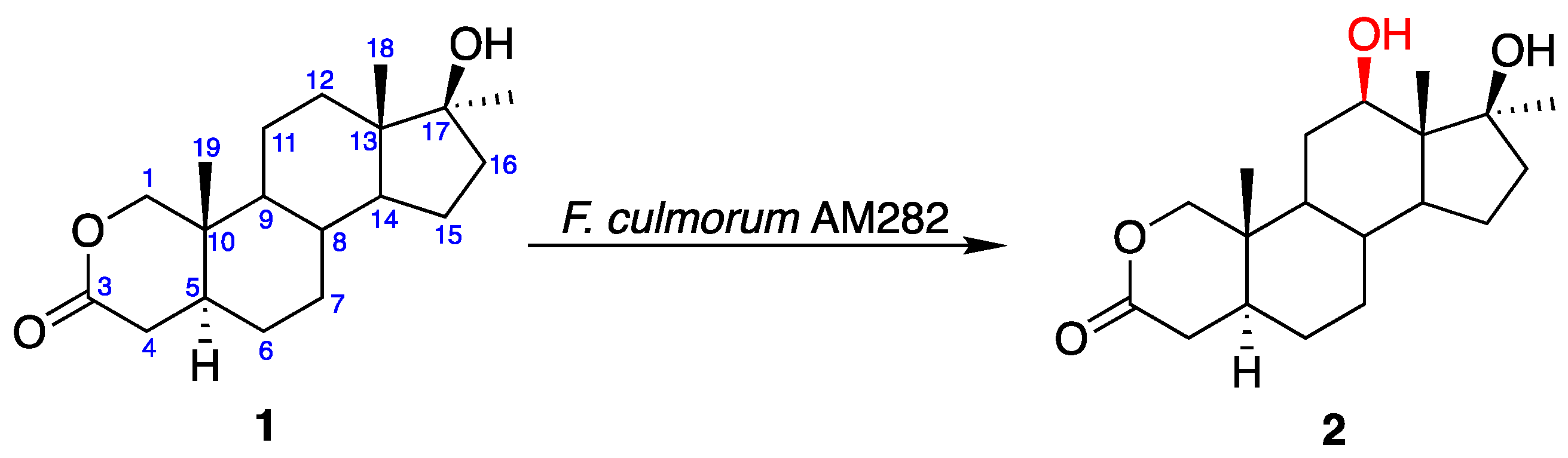 Catalysts 11 00016 g001