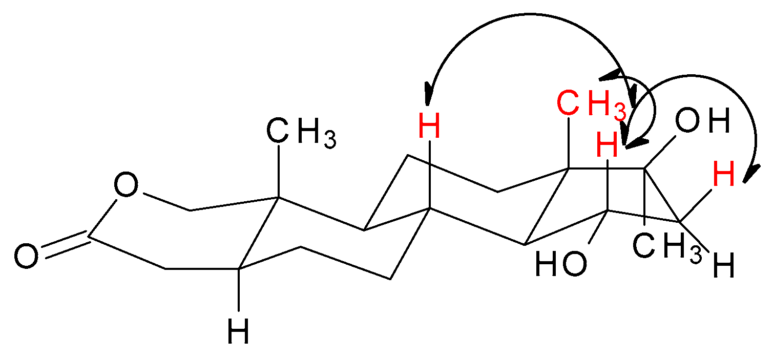 Catalysts 11 00016 g004