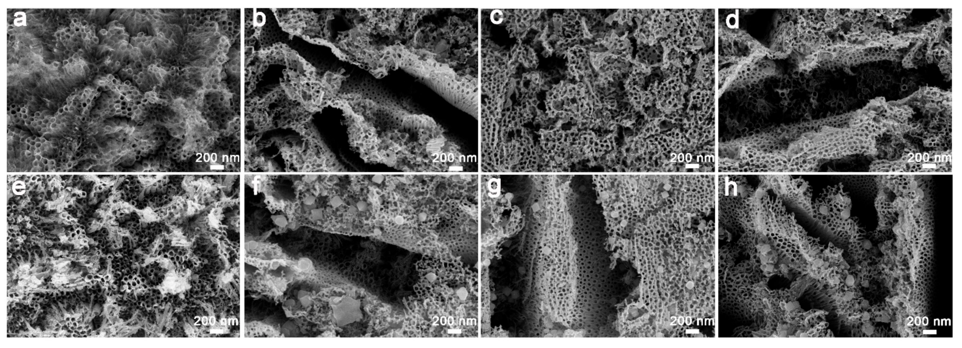 Catalysts 11 00327 g004