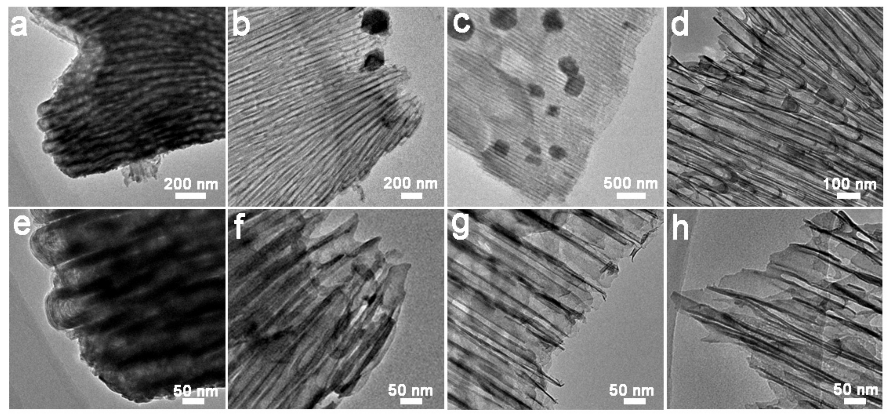 Catalysts 11 00327 g005