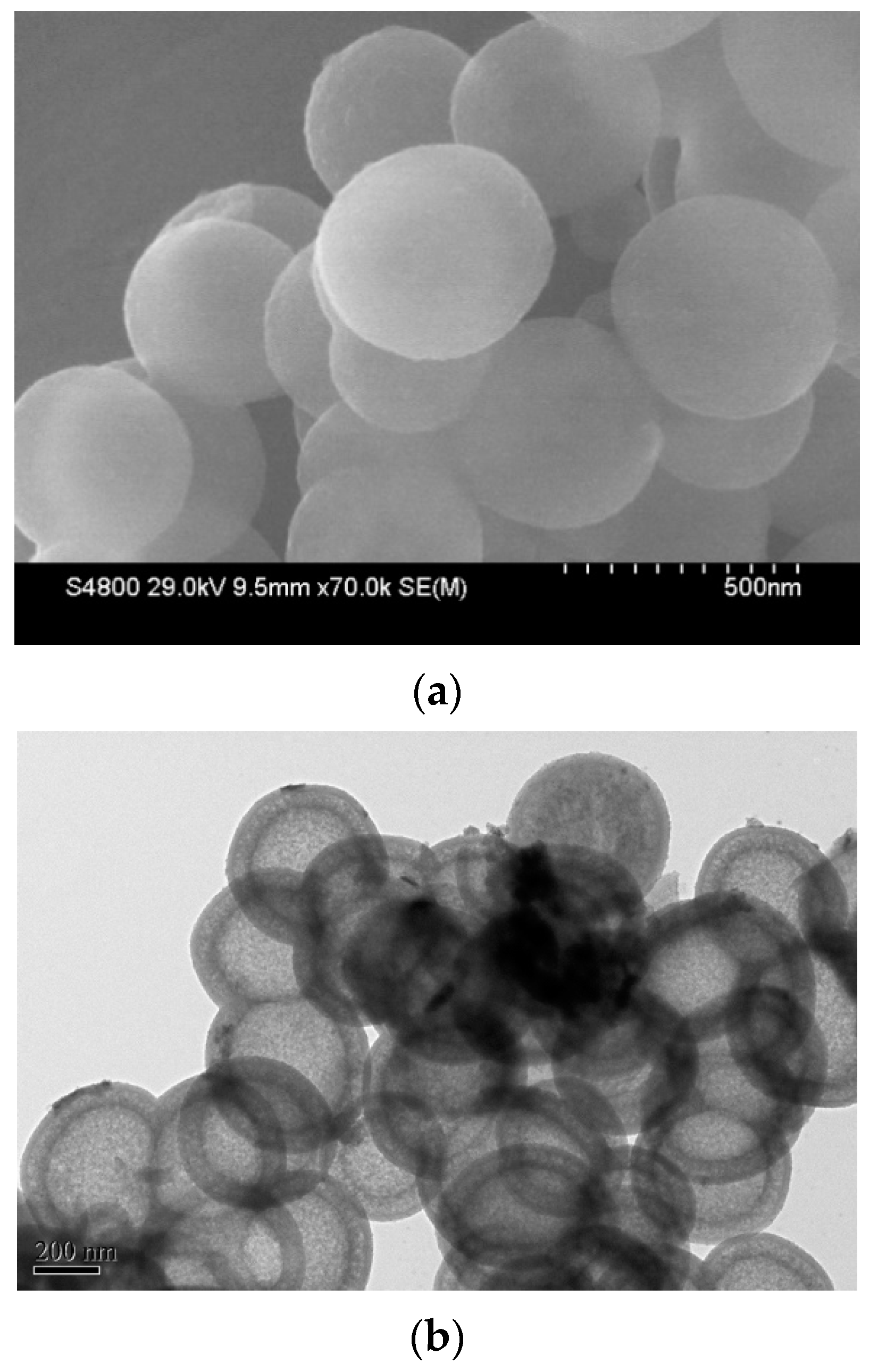 Catalysts 11 00582 g005a