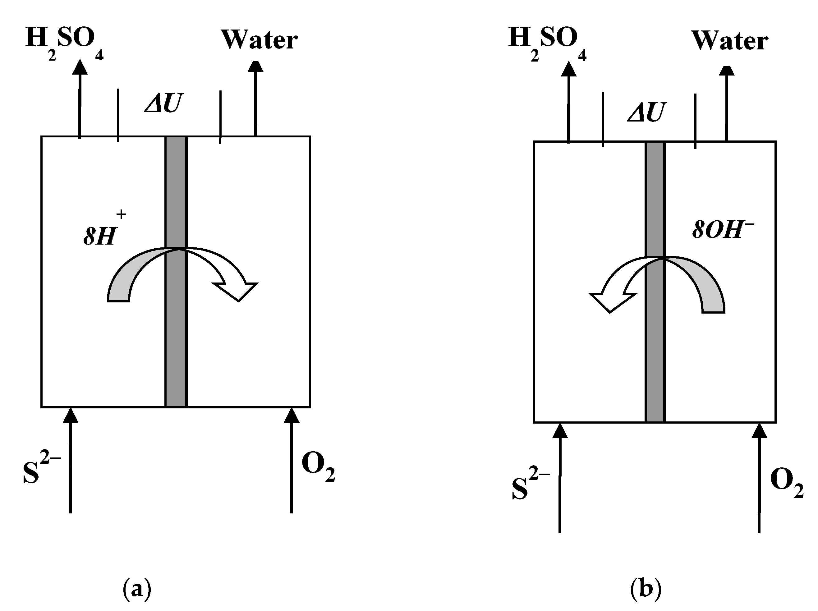 Catalysts 11 00694 g001